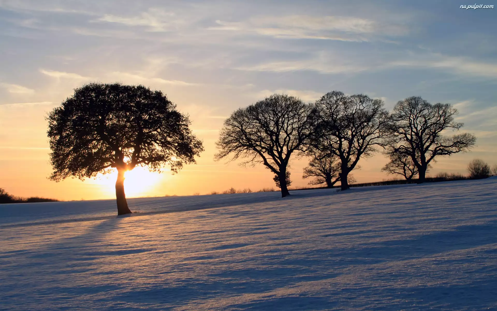Śnieg, Słońce, Drzewa, Zachodzące