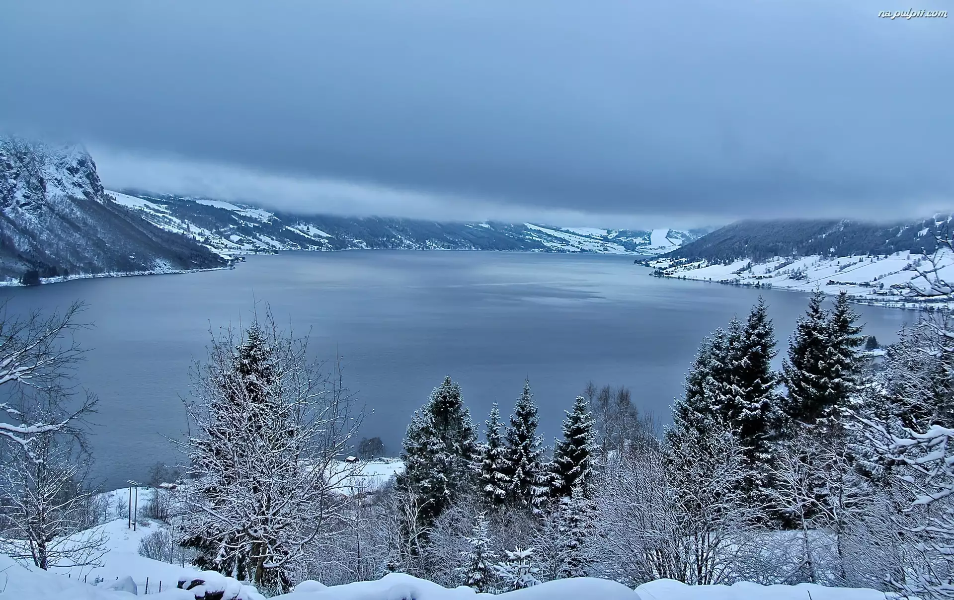 Drzewa, Norwegia, Góry, Zima Jezioro, Jolstravatnet