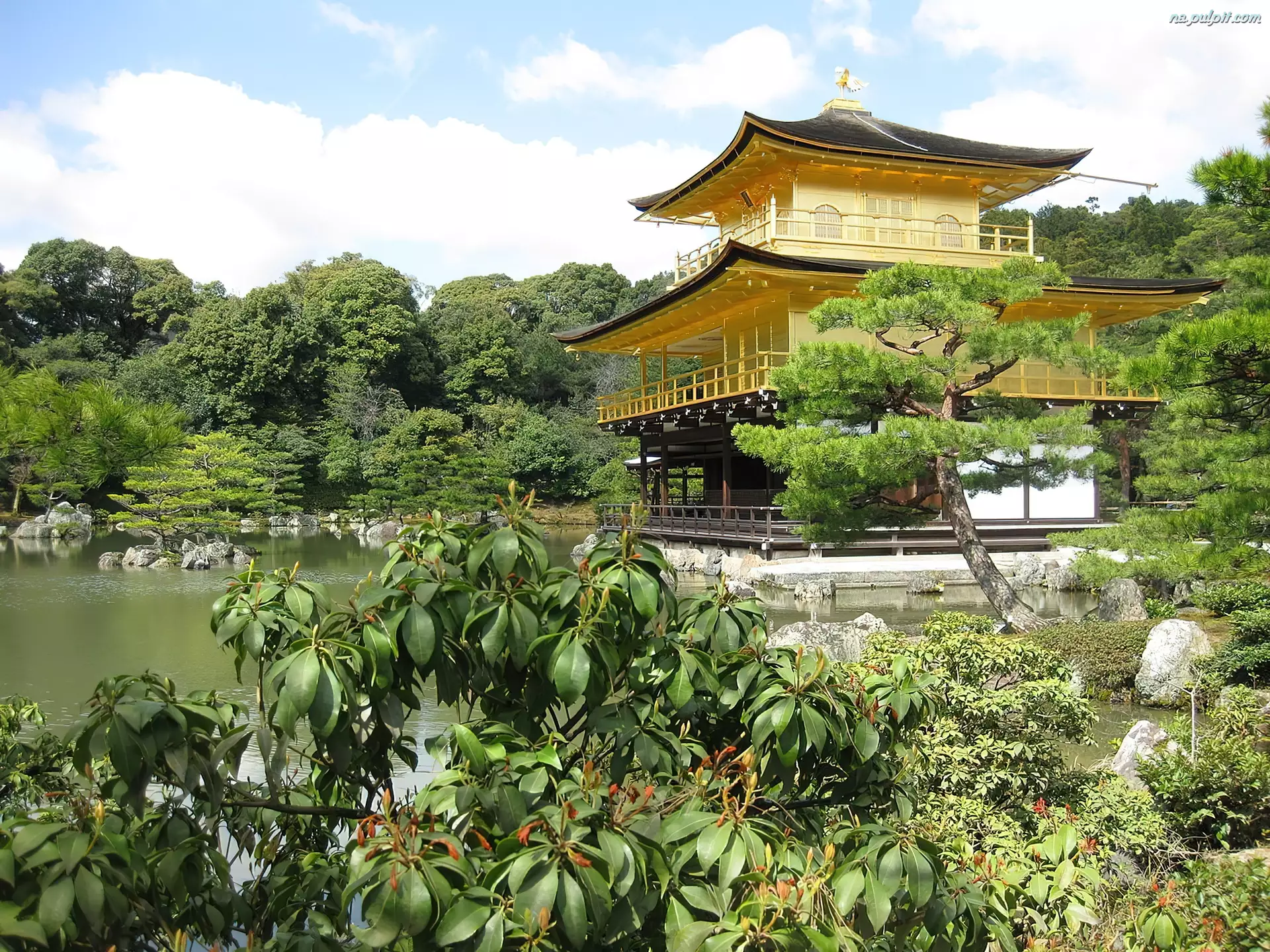 Kioto, Złoty, Jeziorko, Pawilon, Roślinność