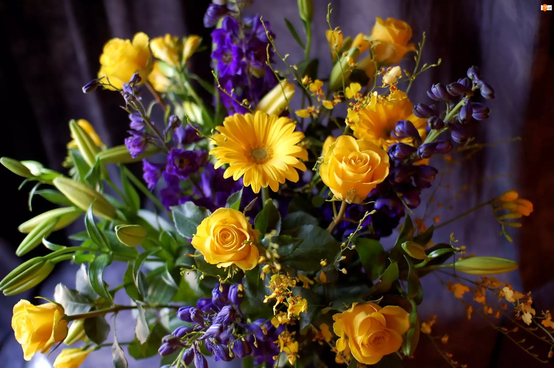 Bukiet Kwiatów, Żółto, Niebieski