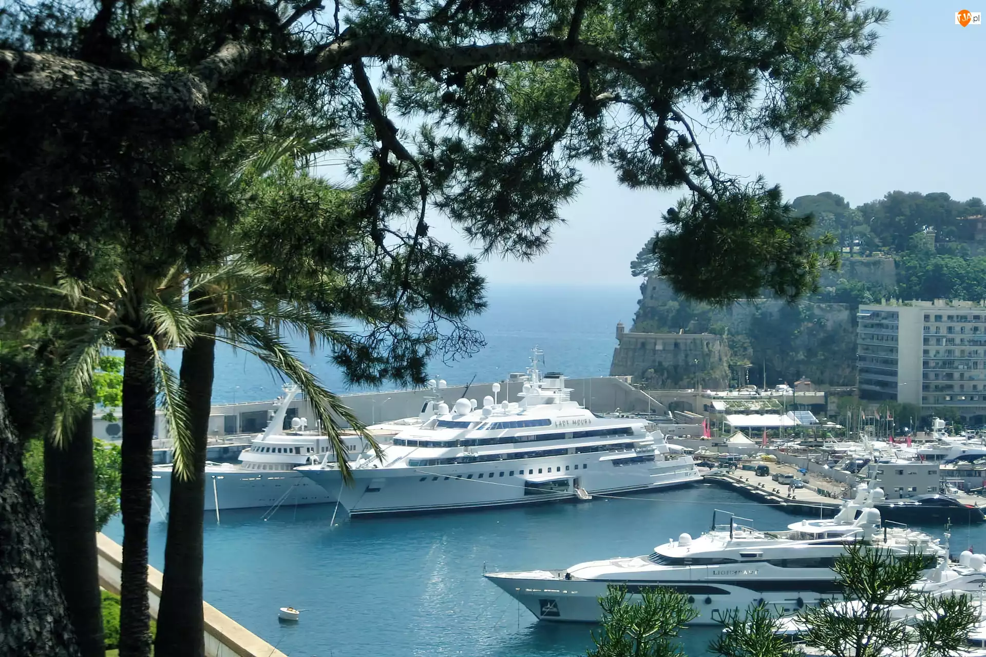 Monte Carlo, Jachty, Port