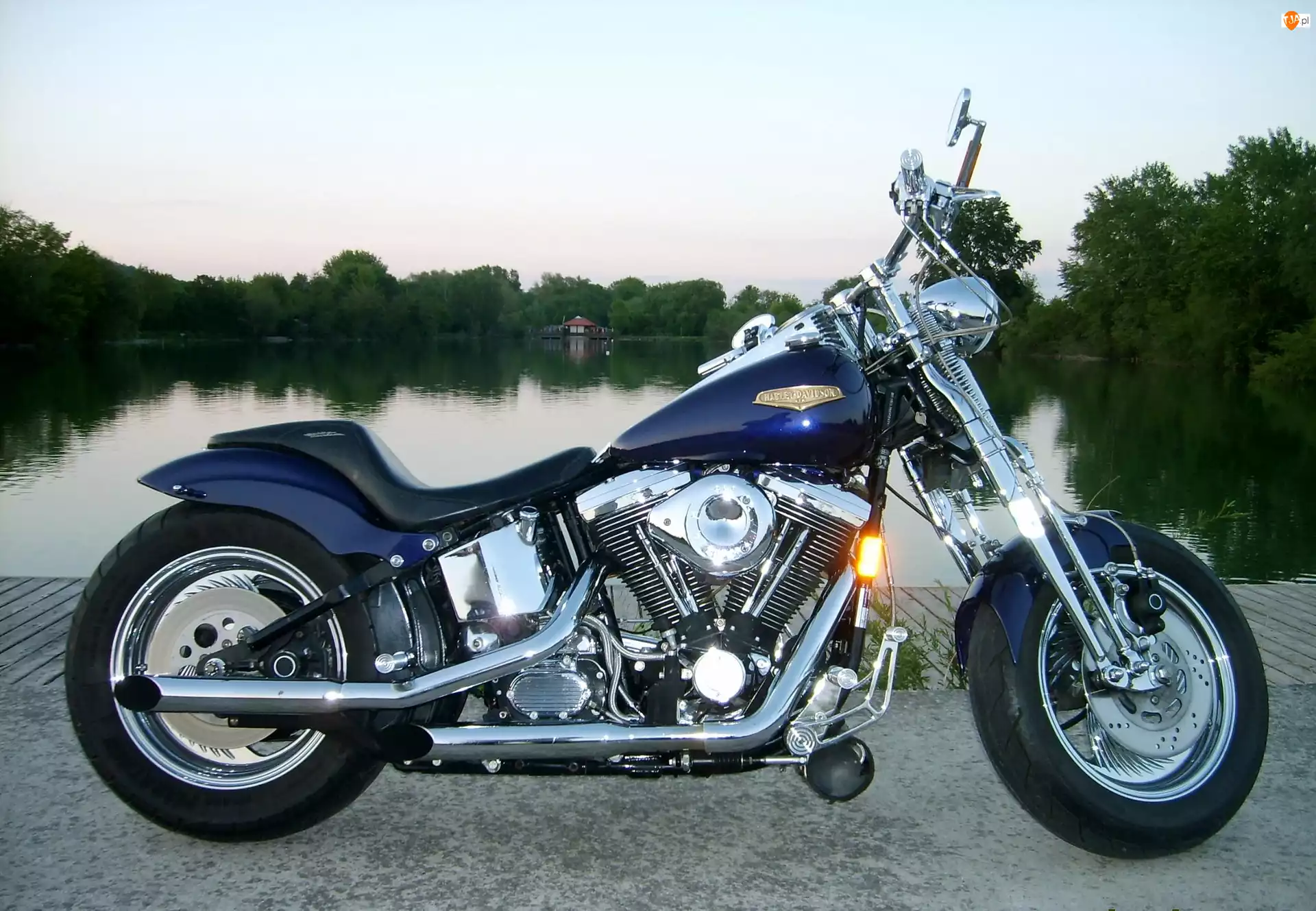 Harley-Davidson Springer, Motor
