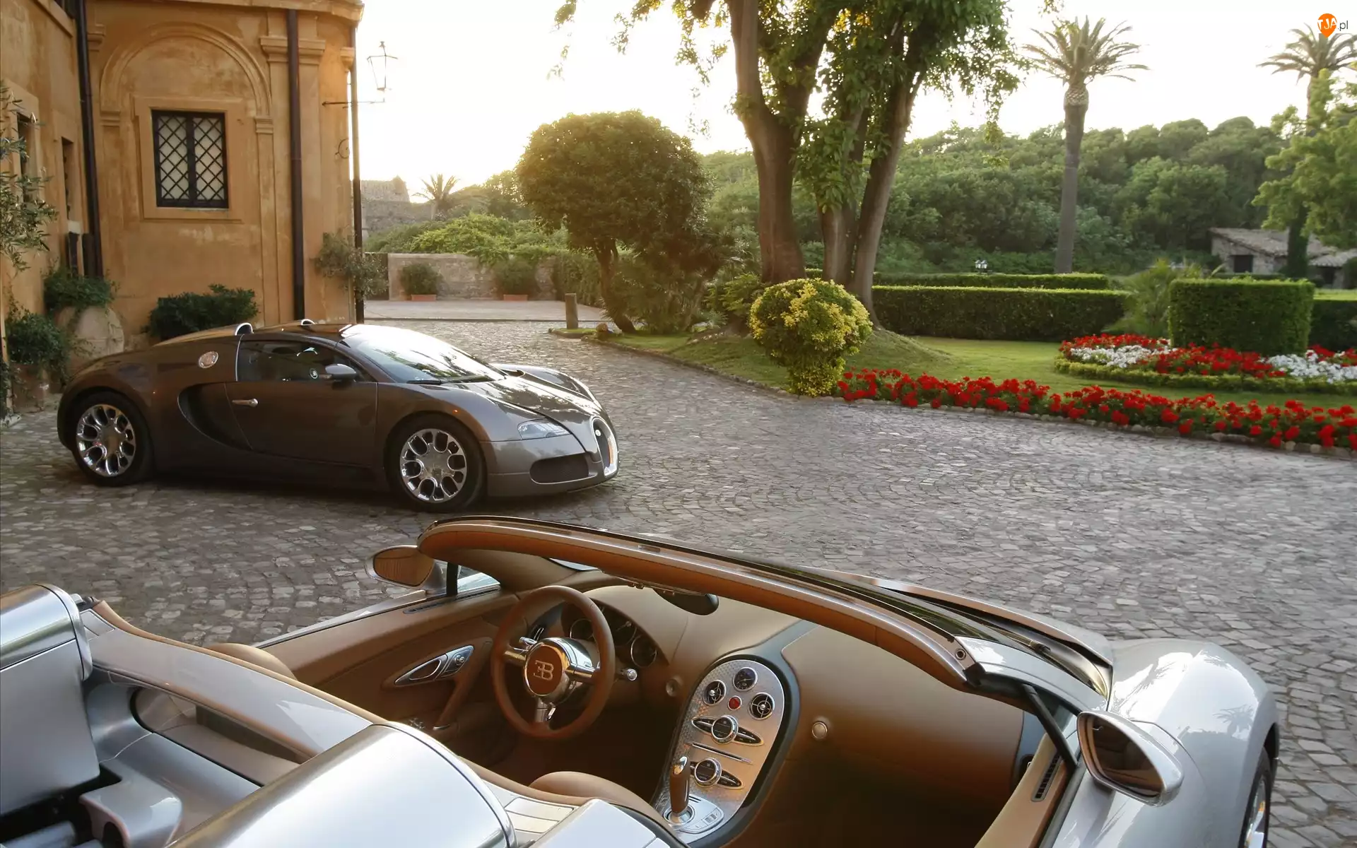 Dom, Bugatti Veyron, Ogród, Samochód