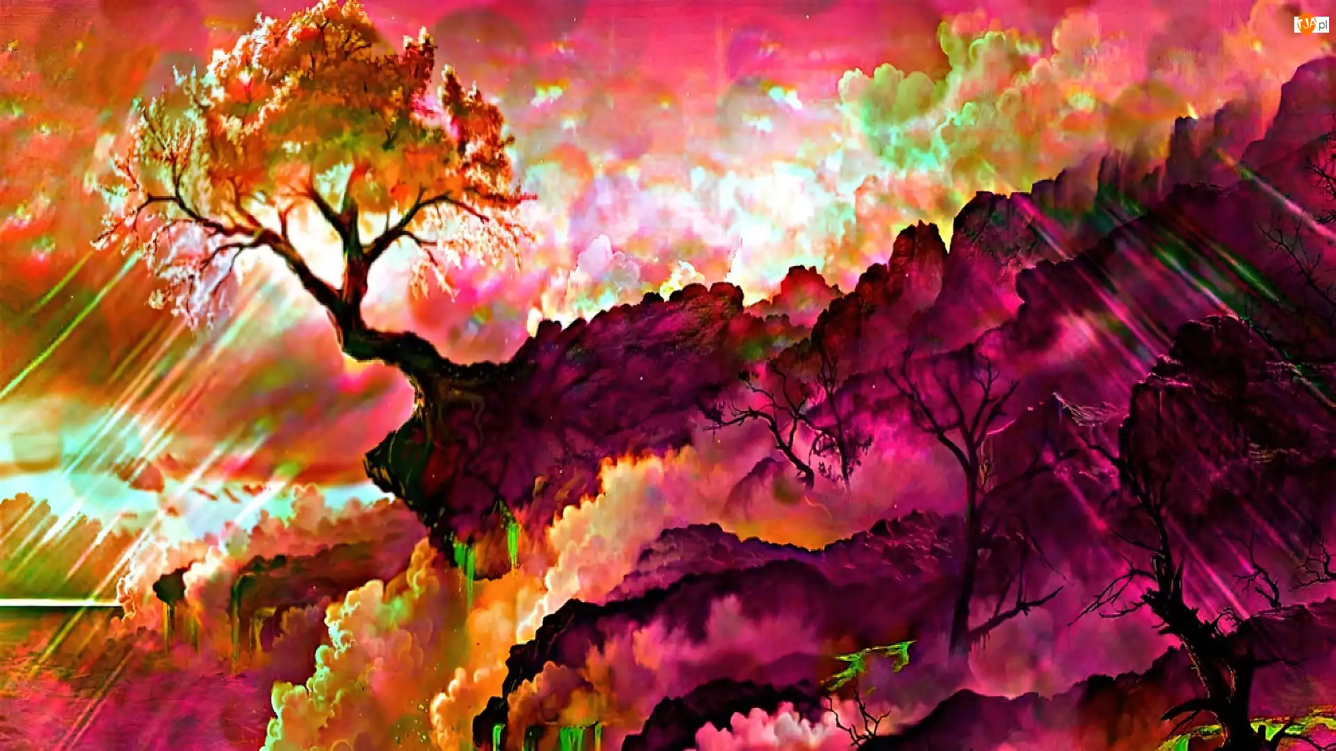 Drzewo, Grafika, Abstrakcja, Kolorowe