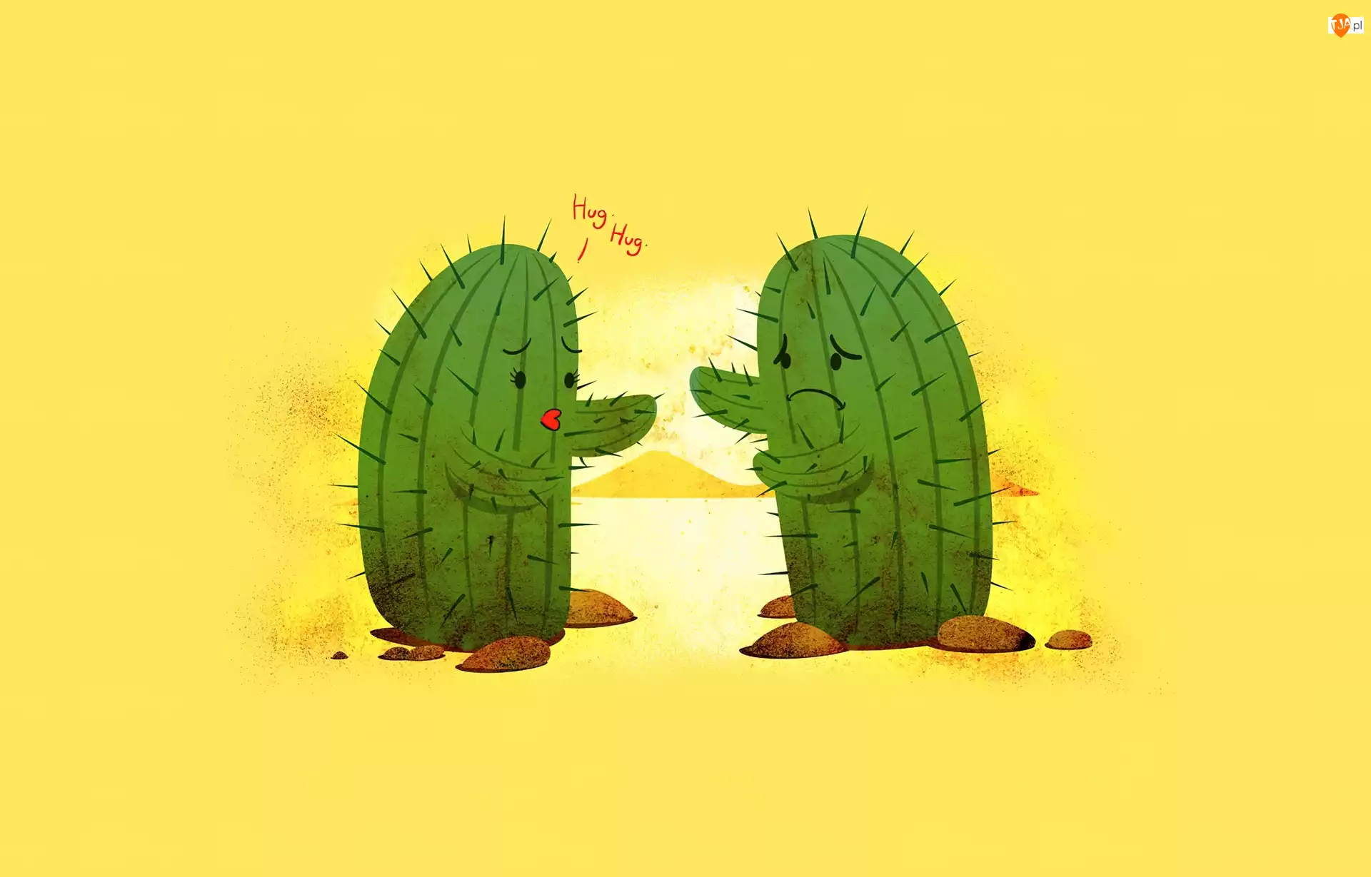 Miłość, Kaktusy