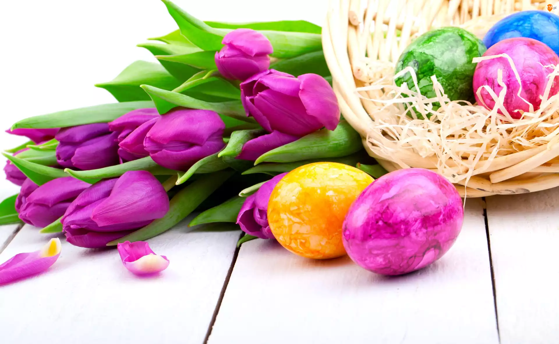 Jajka, Wielkanoc, Tulipany