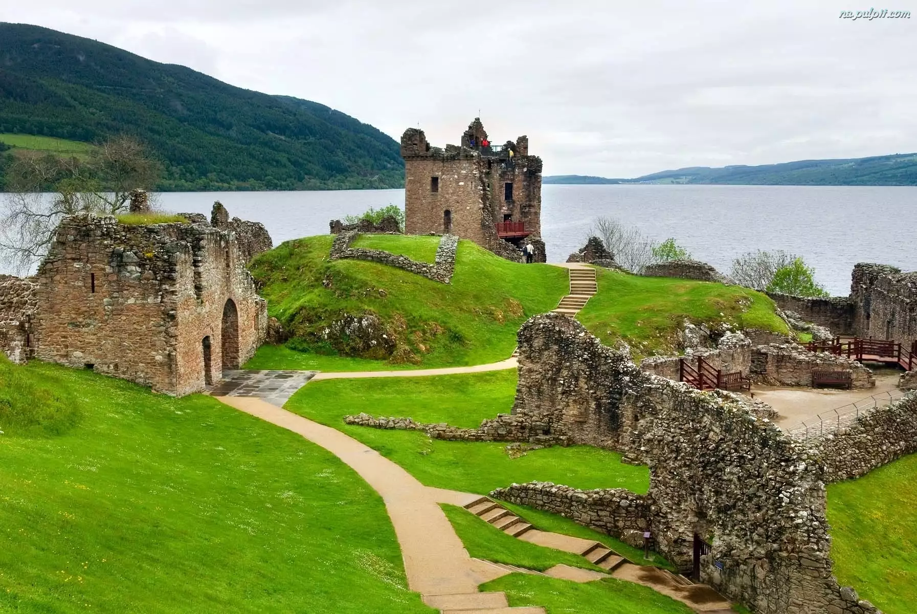 Lochness, Szkocja, Nad, Ruiny, Jeziorem