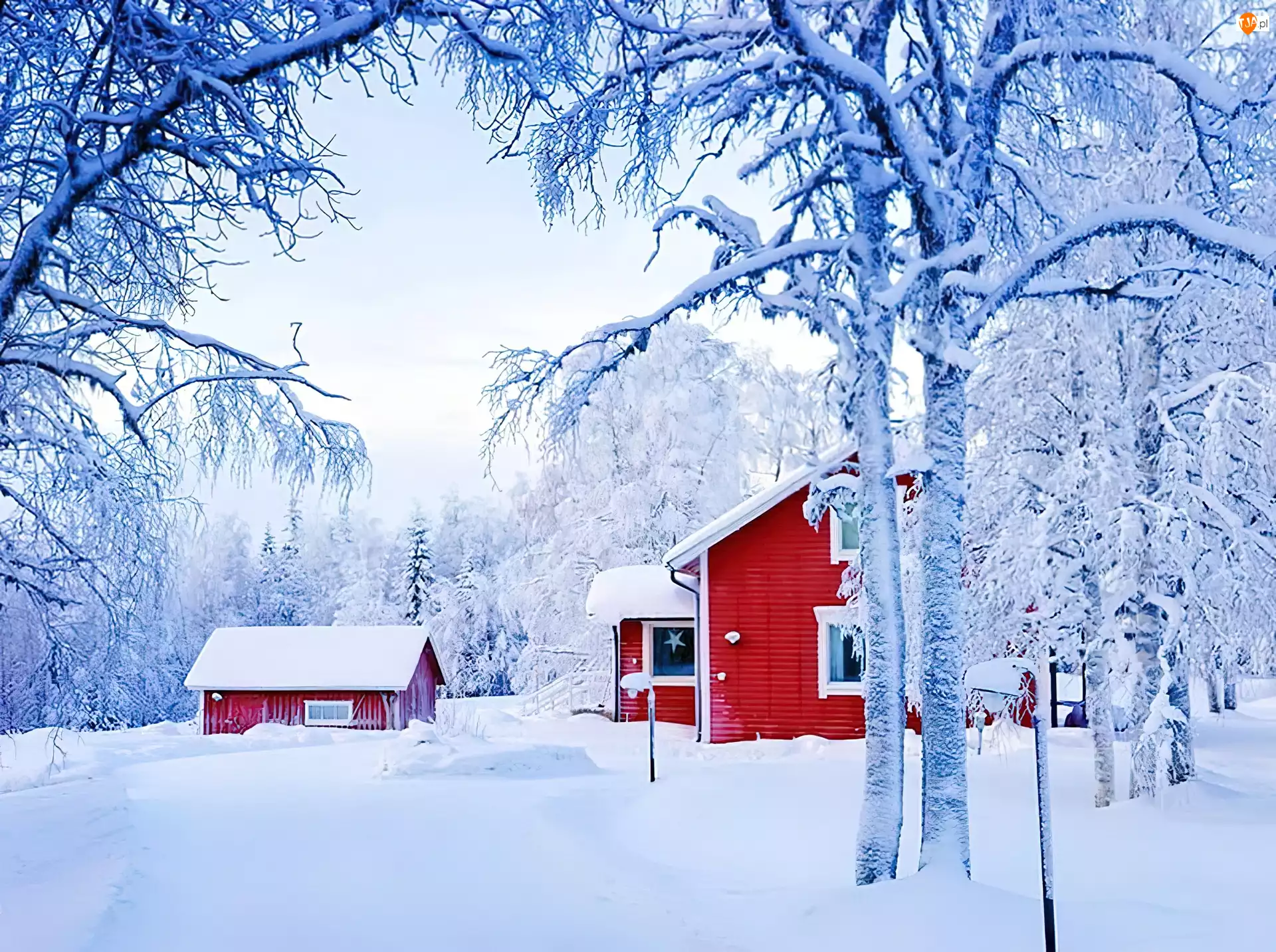 Śnieg, Ośnieżone, Czerwone, Drzewa, Domy, Zima