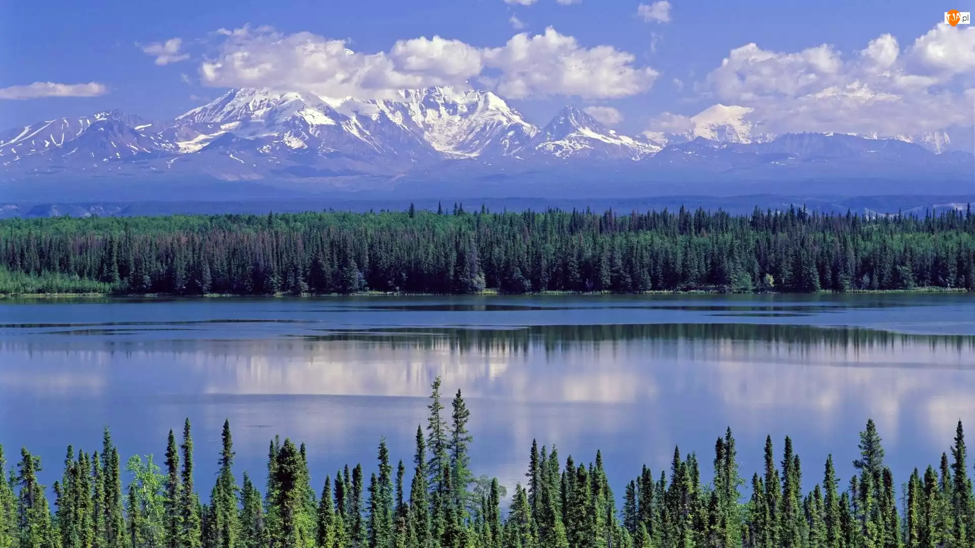 Narodowy, Alaska, Willow, Park