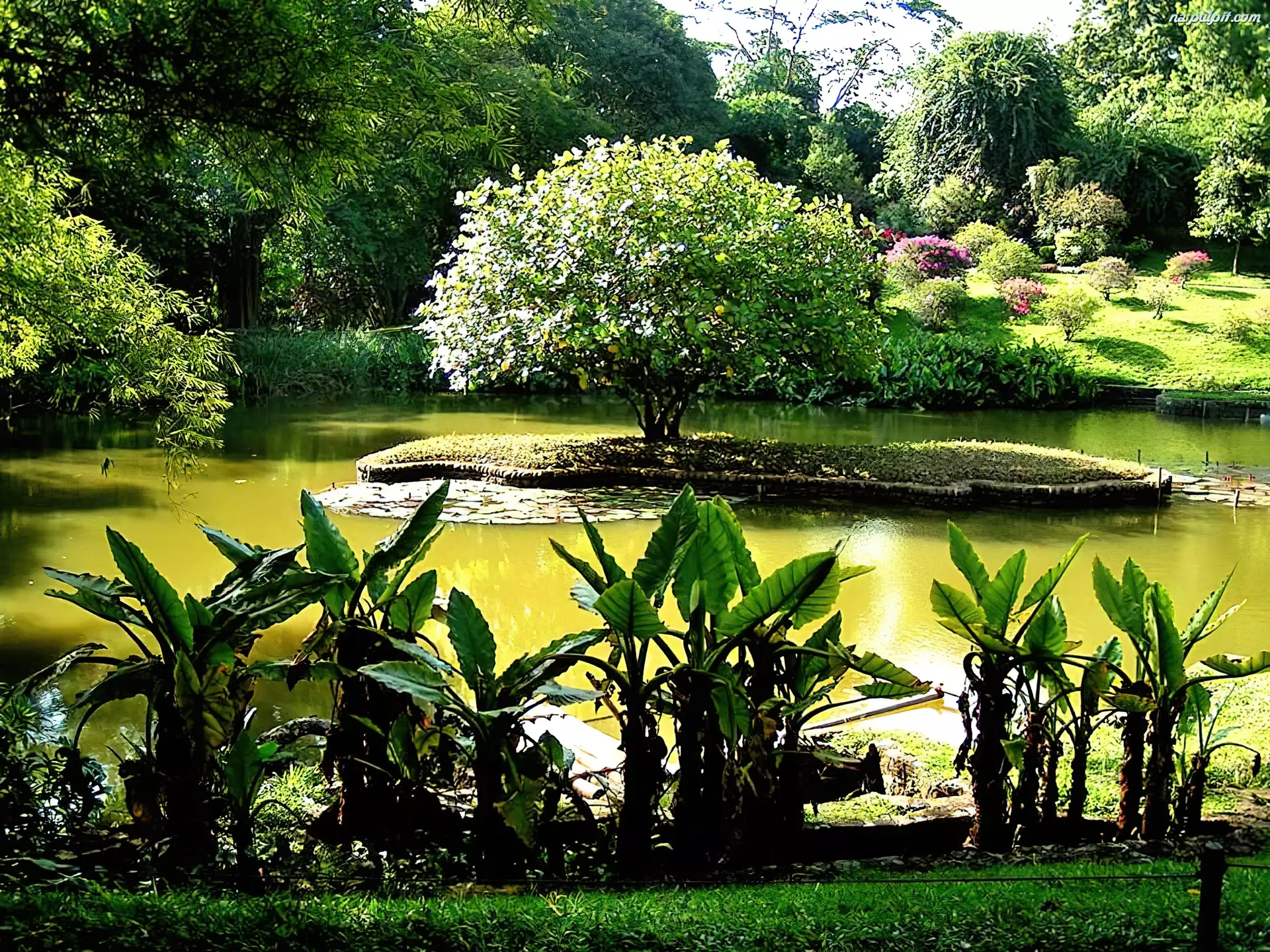 Sri Lanka, Ogród, Botaniczny