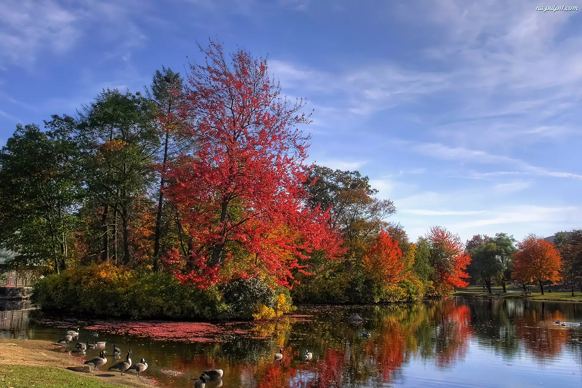 Jeziorko, Jesień, Kolorowe, Drzewa