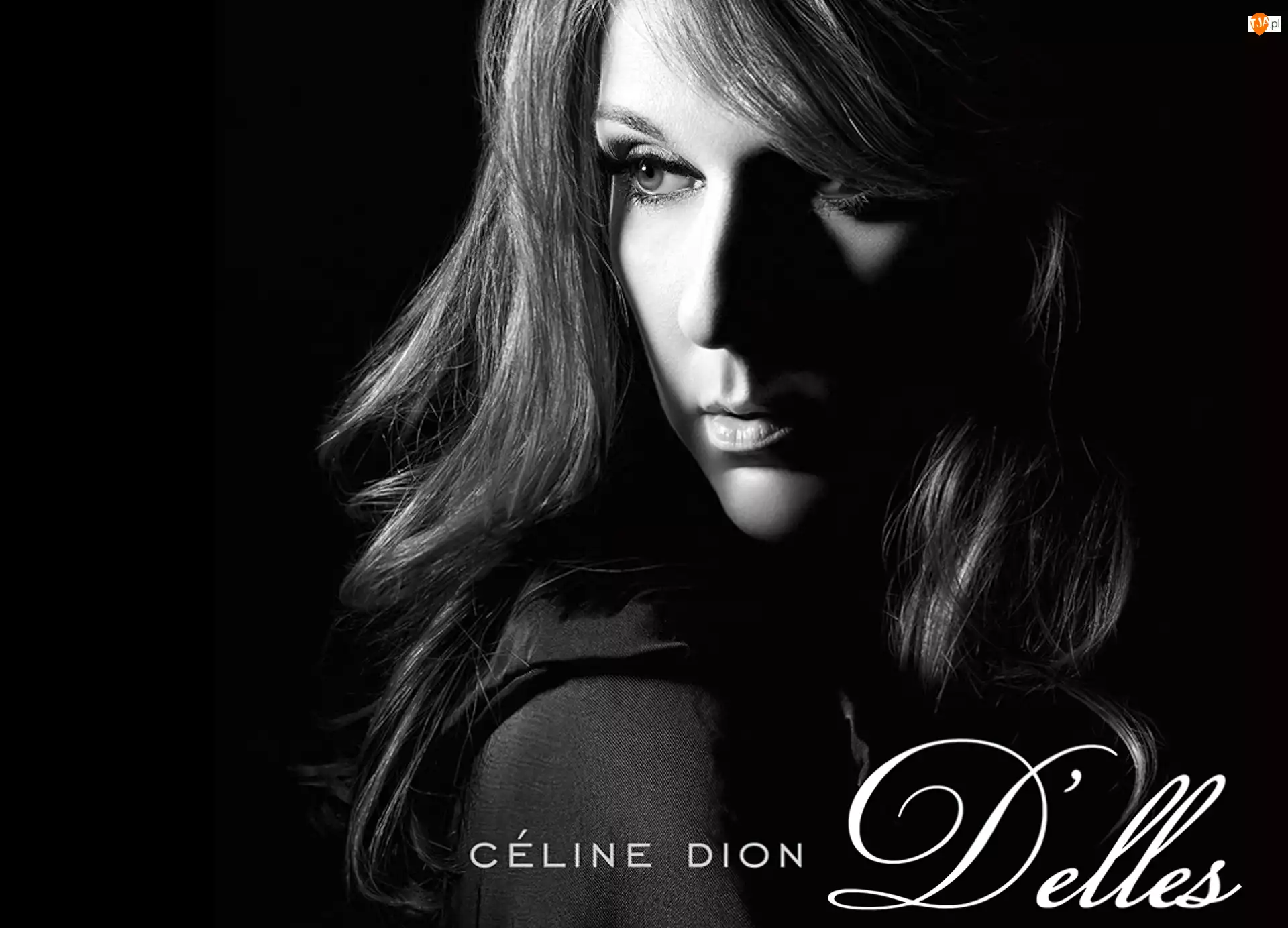 Piosenkarka, Celine Dion
