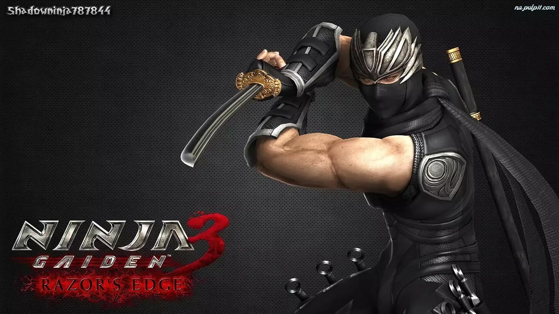 Ryu Hayabusa, Ninja Gaiden3: Razor Edge