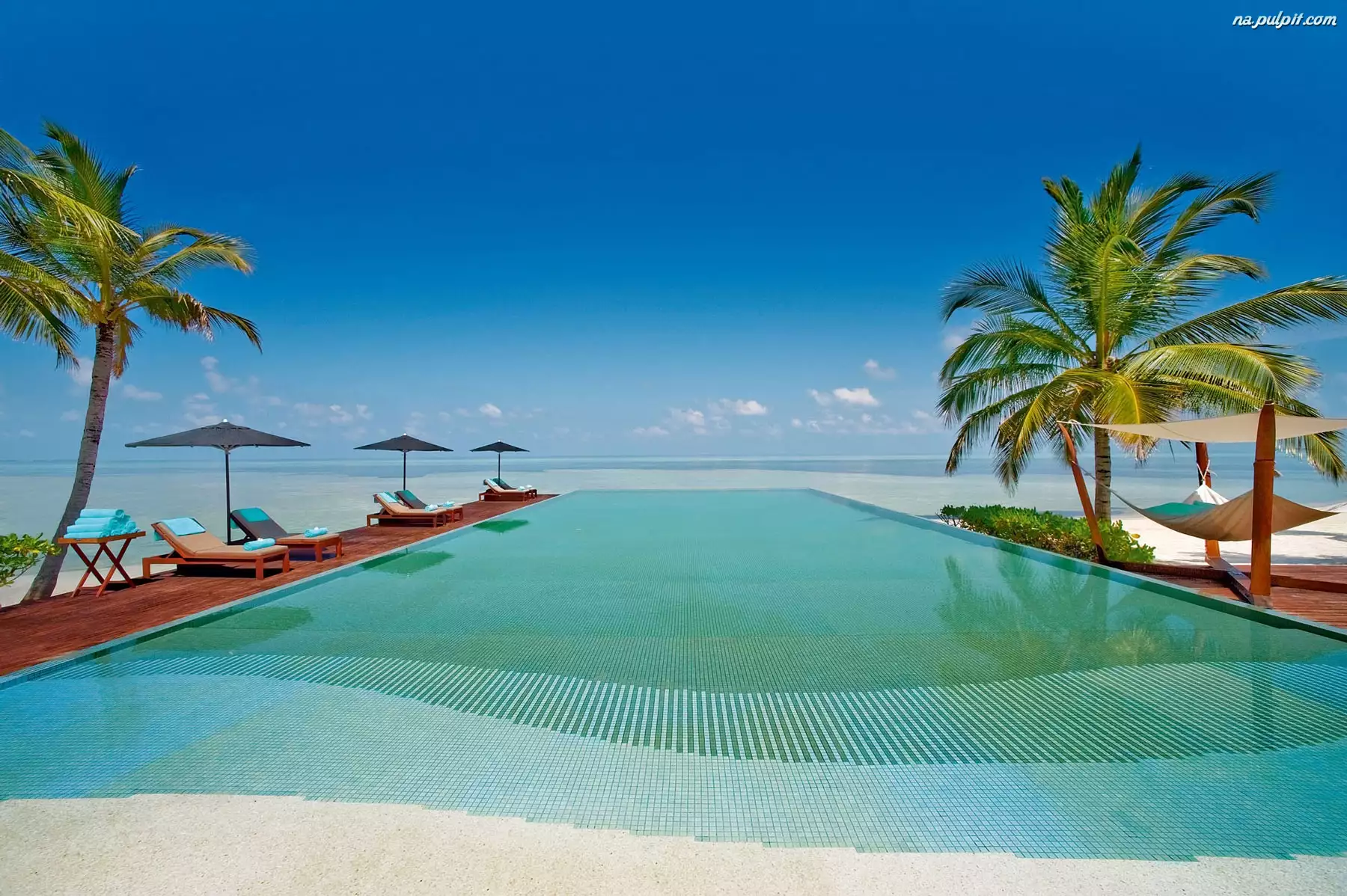 Malediwy, Morze, Plaża, Palmy
