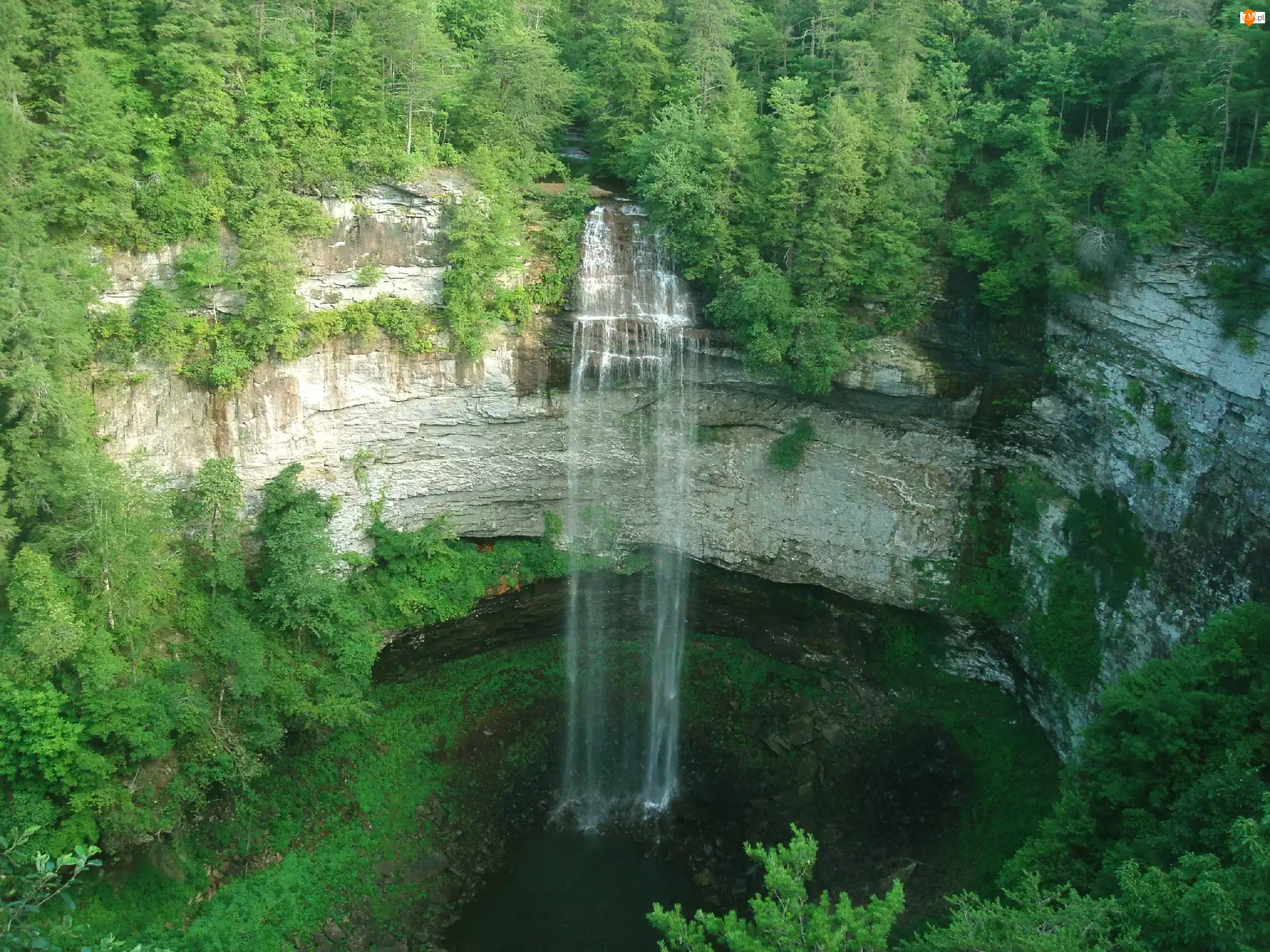 Wodospad, Tennessee, Jeziorko, Las