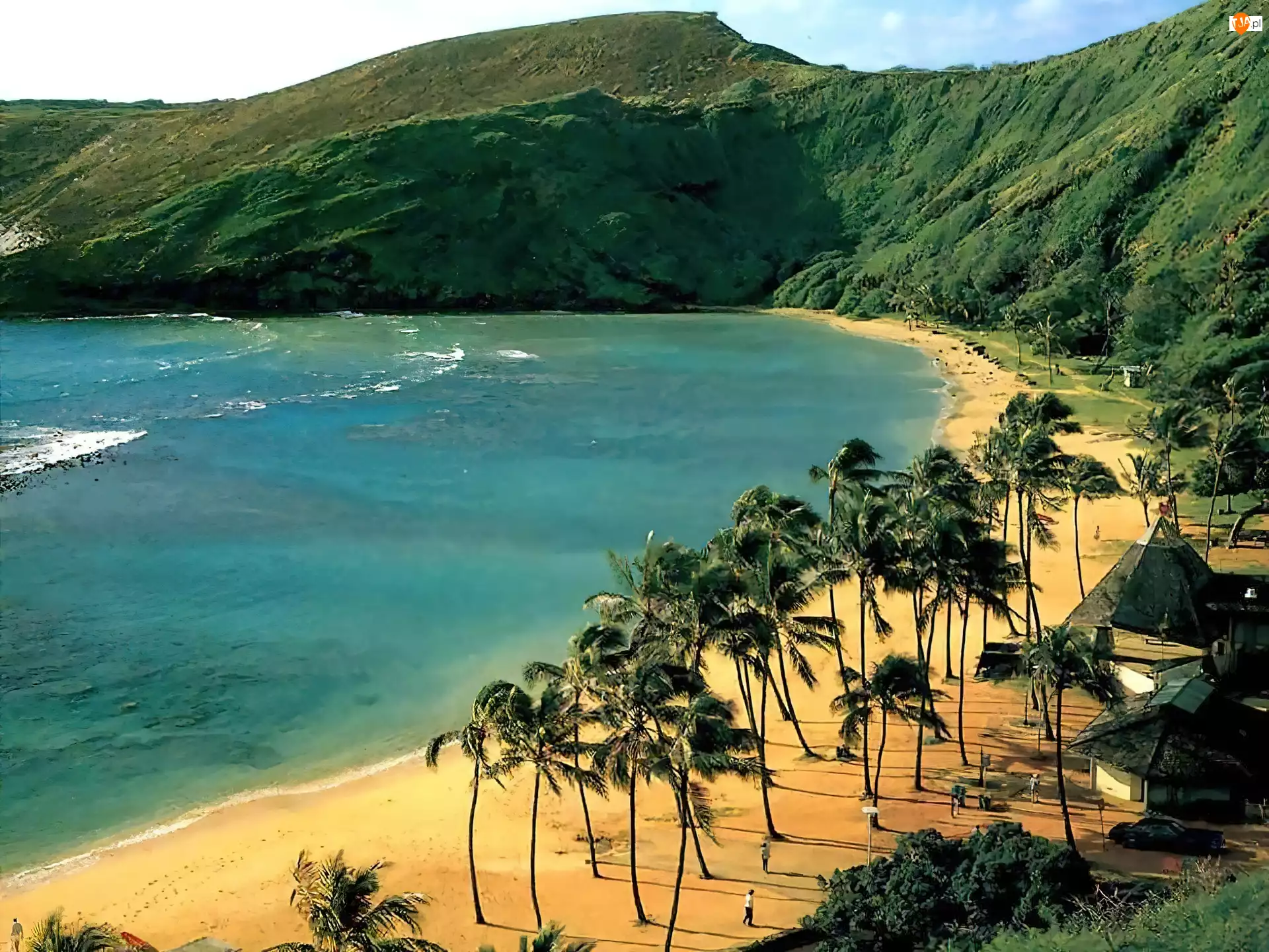 Palmy, Oahu, Morze, Hawaje, Plaża, Góry