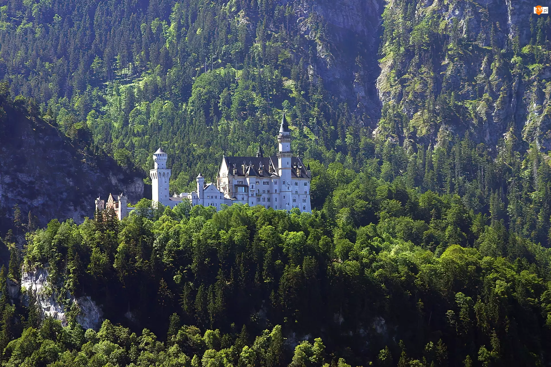 Lasy, Niemcy, Neuschwanstein, Zamek, Góry