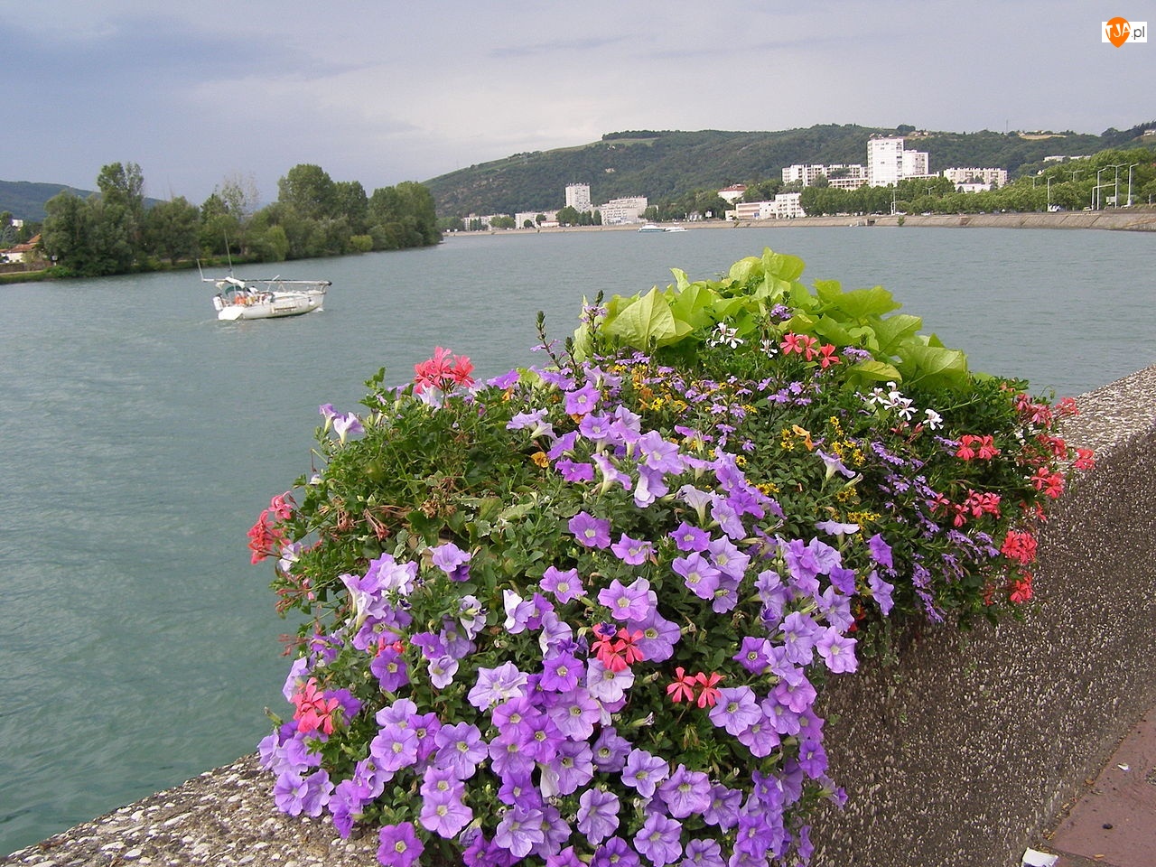 Kwiaty, Francja, Vienne, Rzeka, Panorama