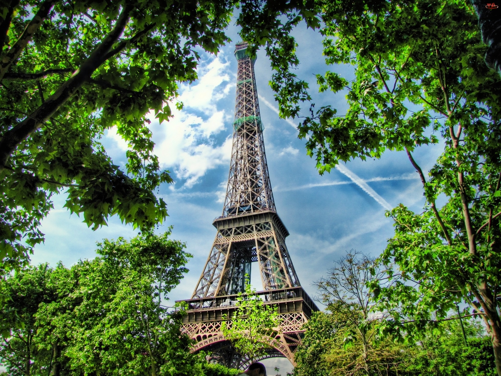 Drzewa, Paryż, Wieża, Eiffla