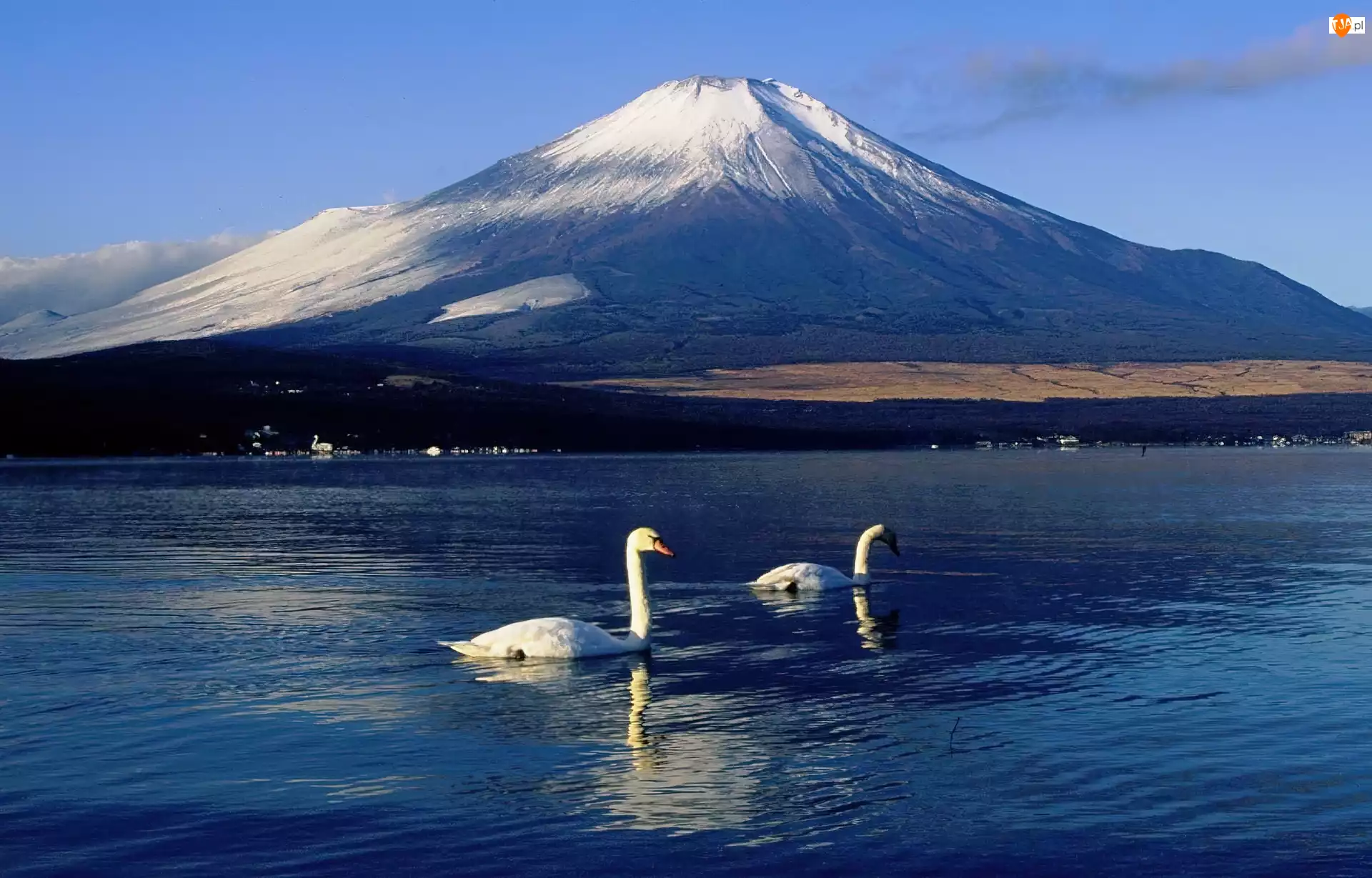 Góra, Japonia, Łabędzie, Jezioro, Fudżi