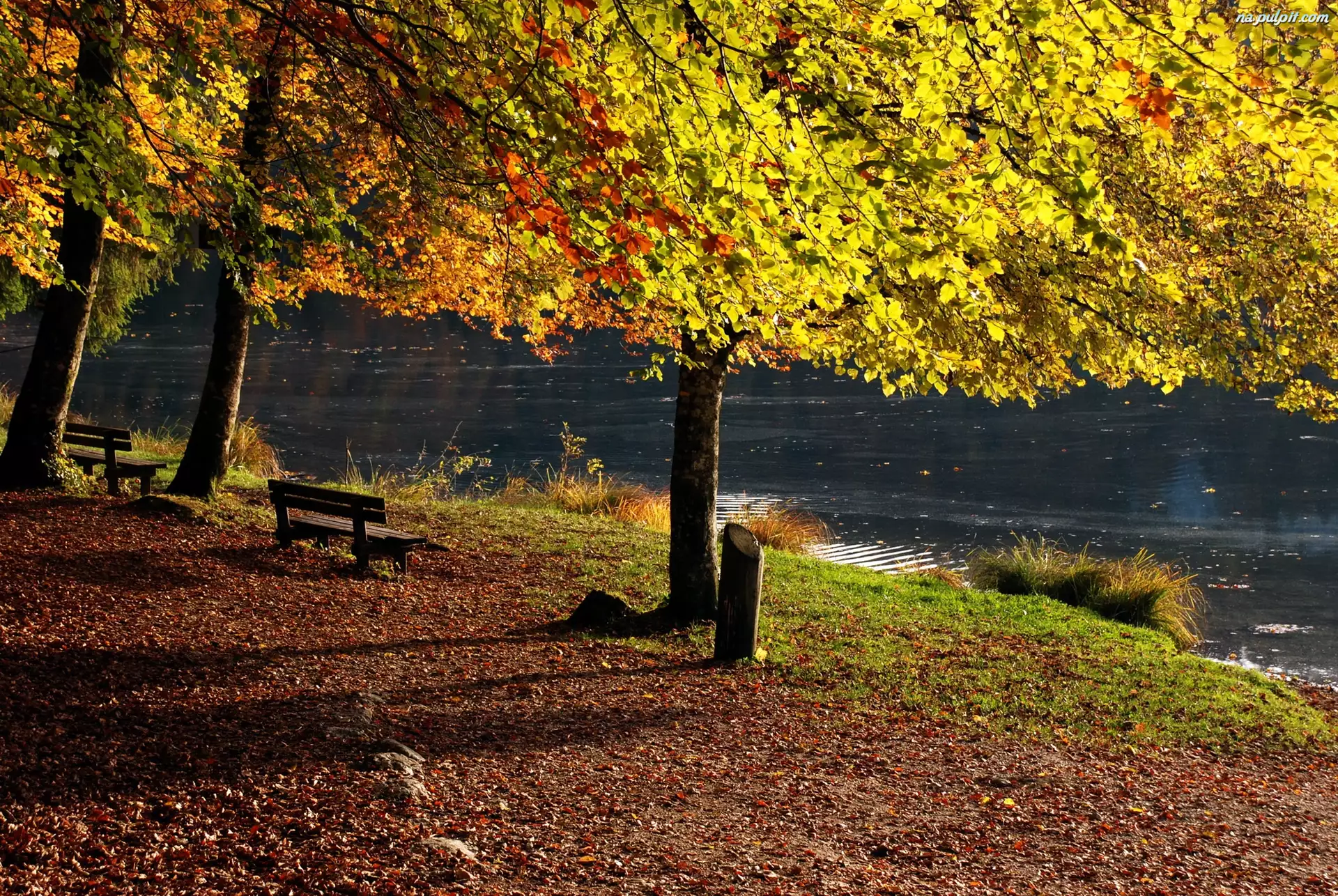 Jesień, Ławeczki, Rzeka, Drzewa