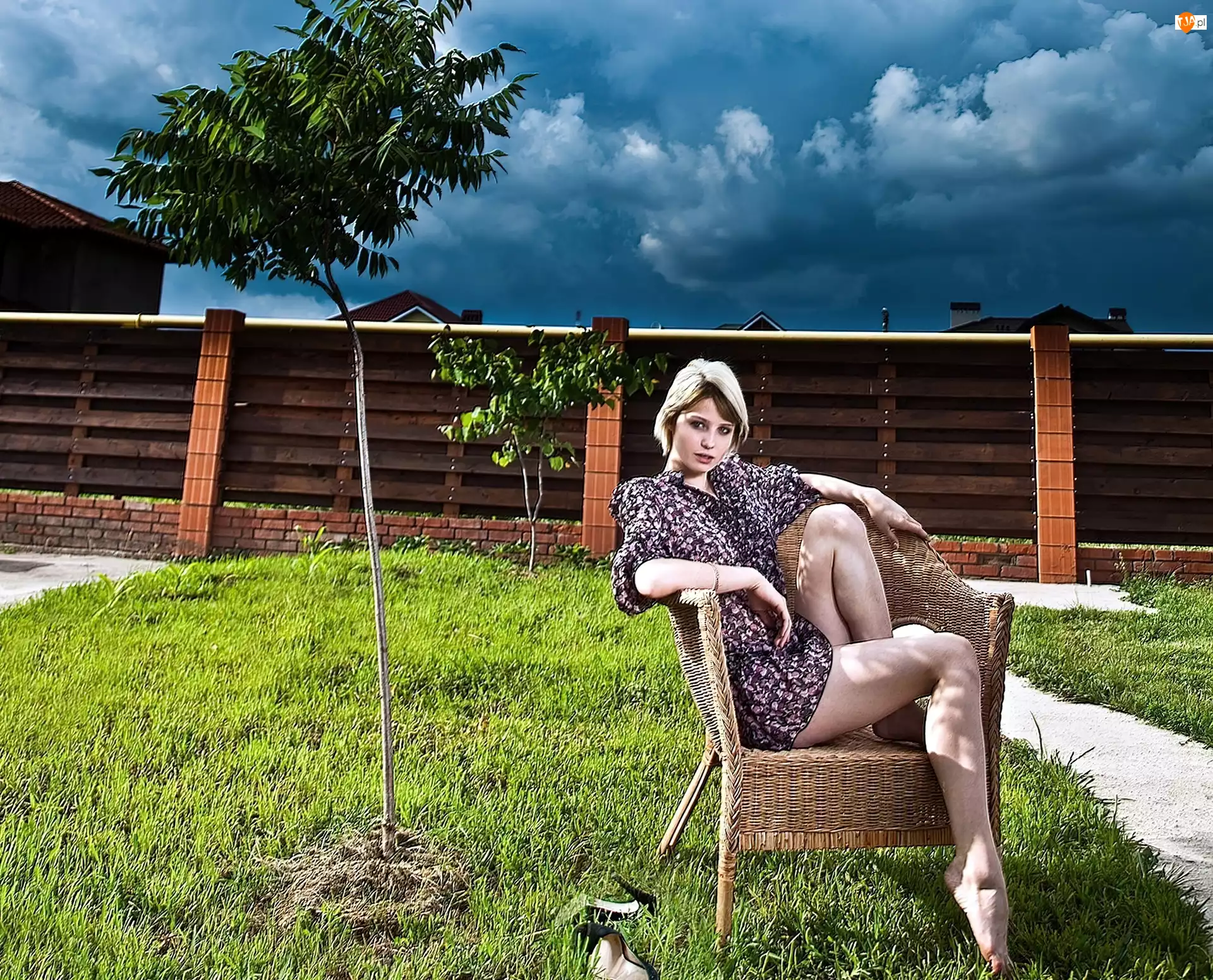 Ogród, Kobieta, Siedząca, Chmury