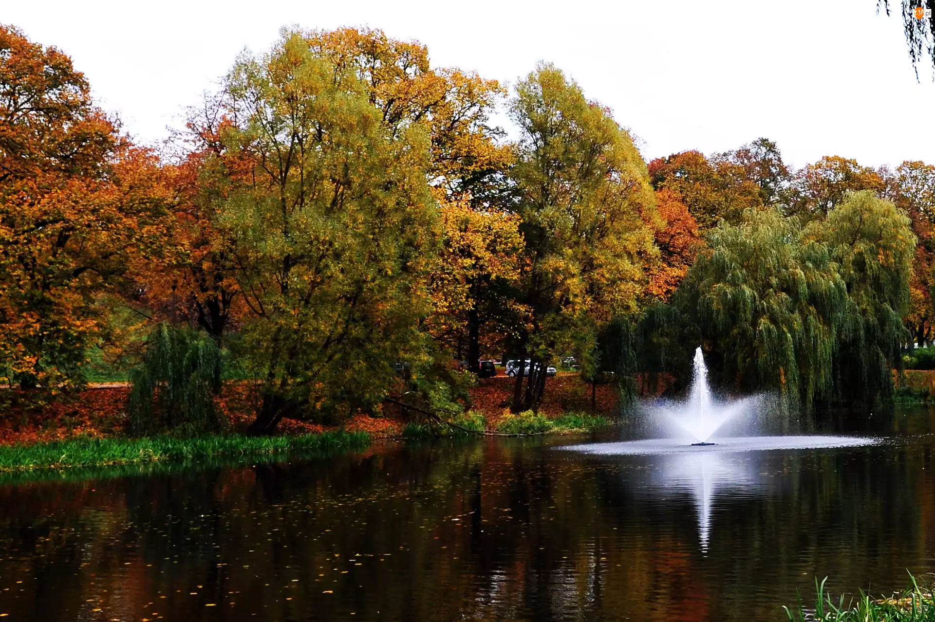 Kolorowe, Fontanna, Jesienią, Park, Drzewa