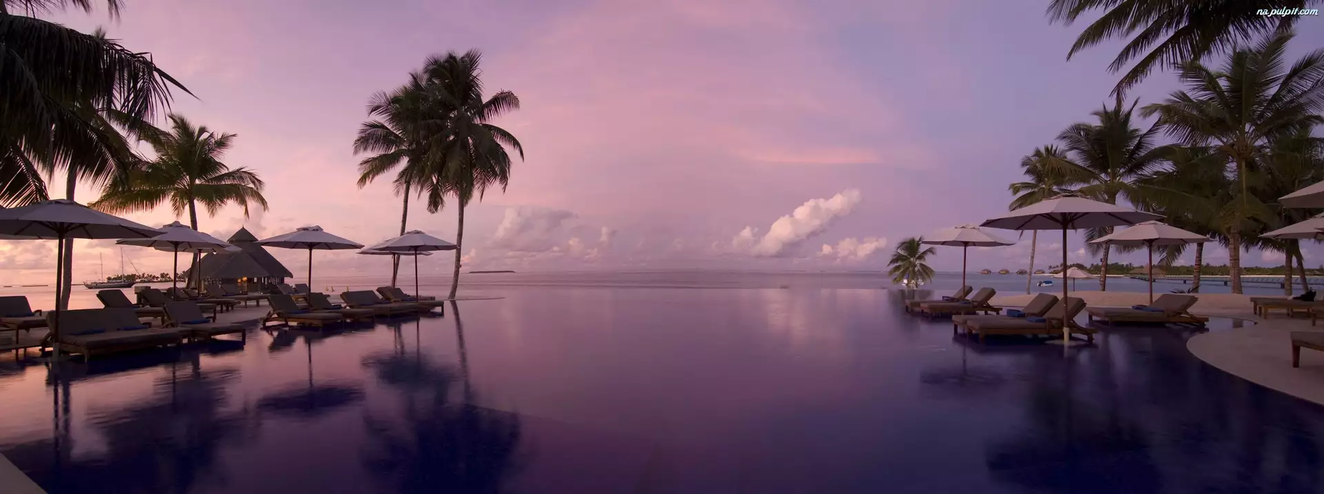 Malediwy, Morze, Leżaki, Parasole, Palmy