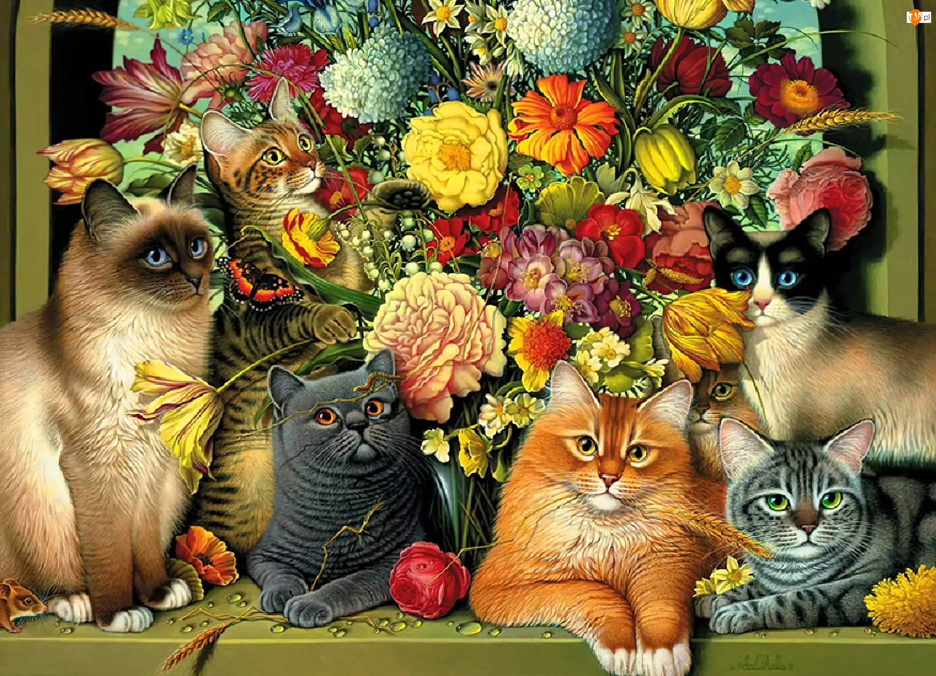 Kwiatów, Koty, Bukiet