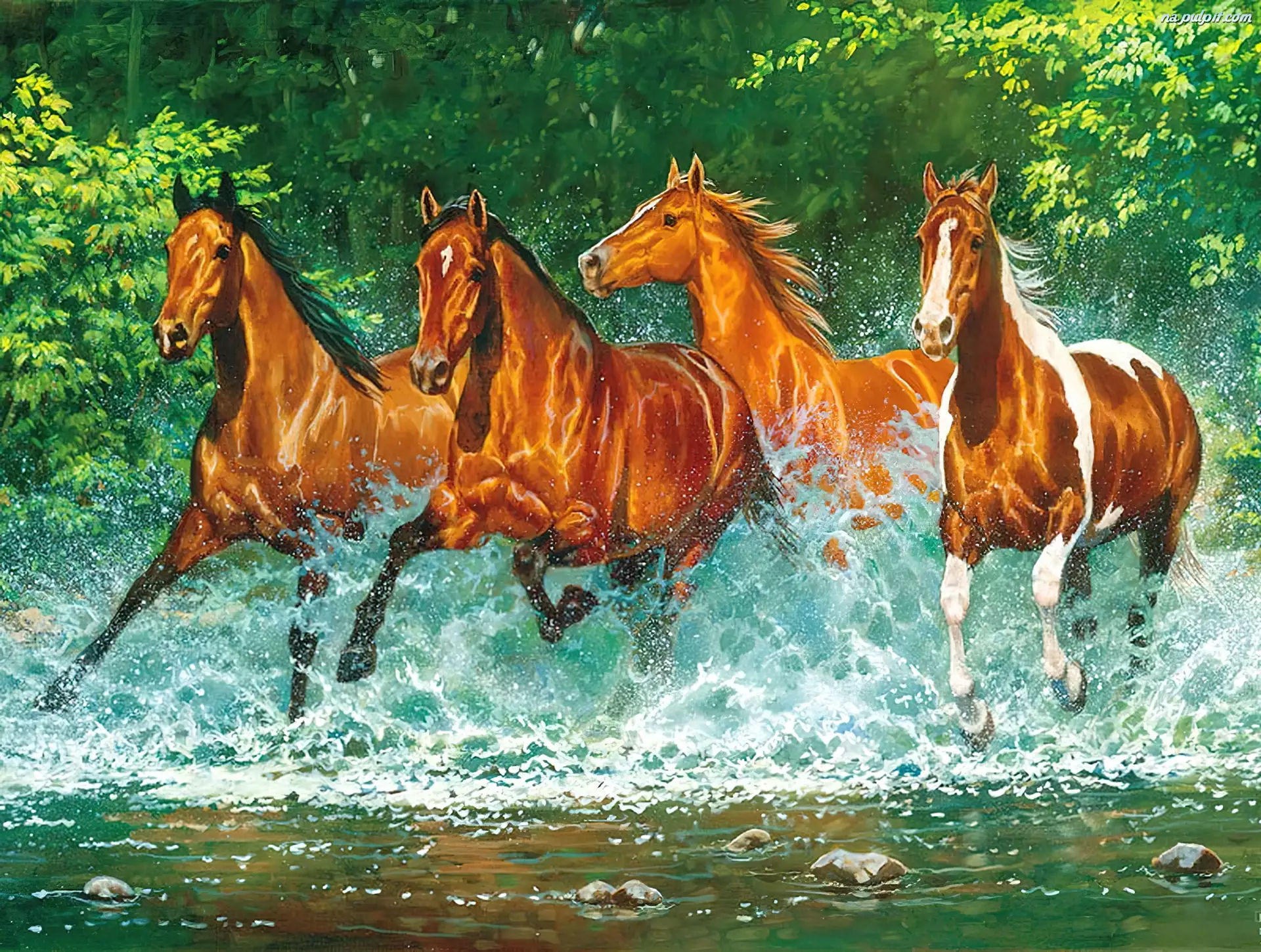 Rzeka, Cztery, Konie