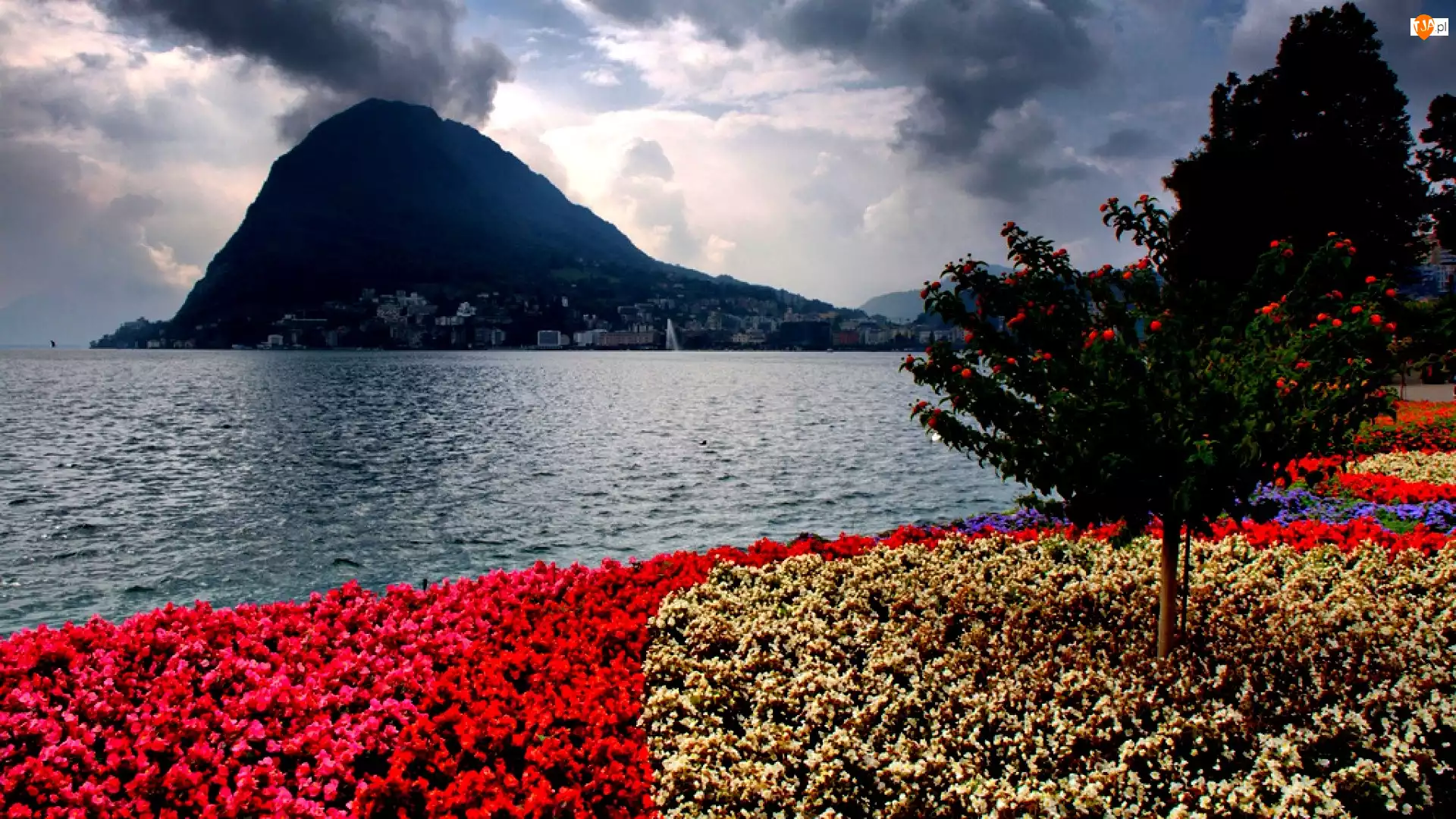 Kwiaty, Góra, Jezioro