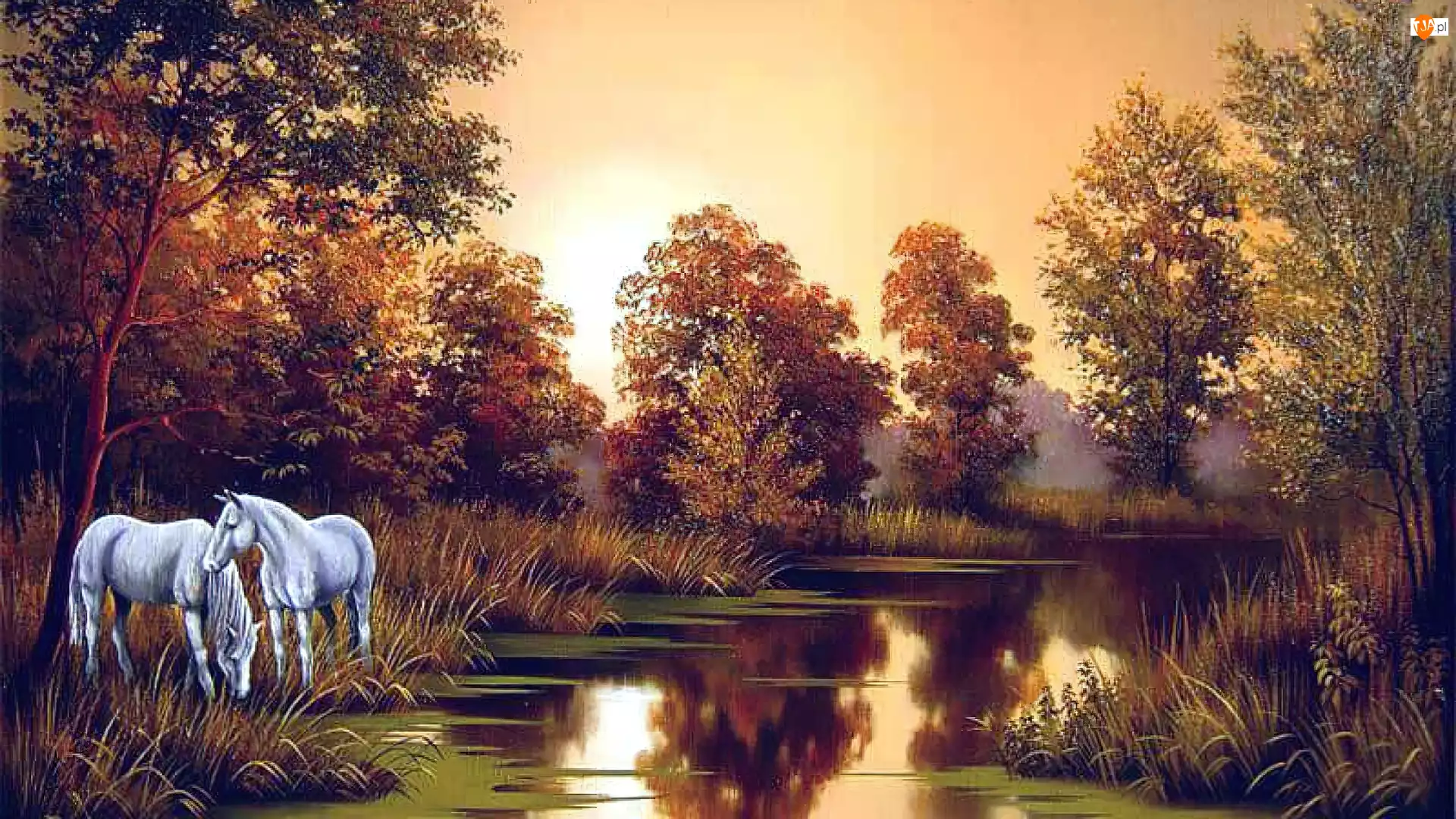 Konie, Jesień, Drzewa, Rzeka