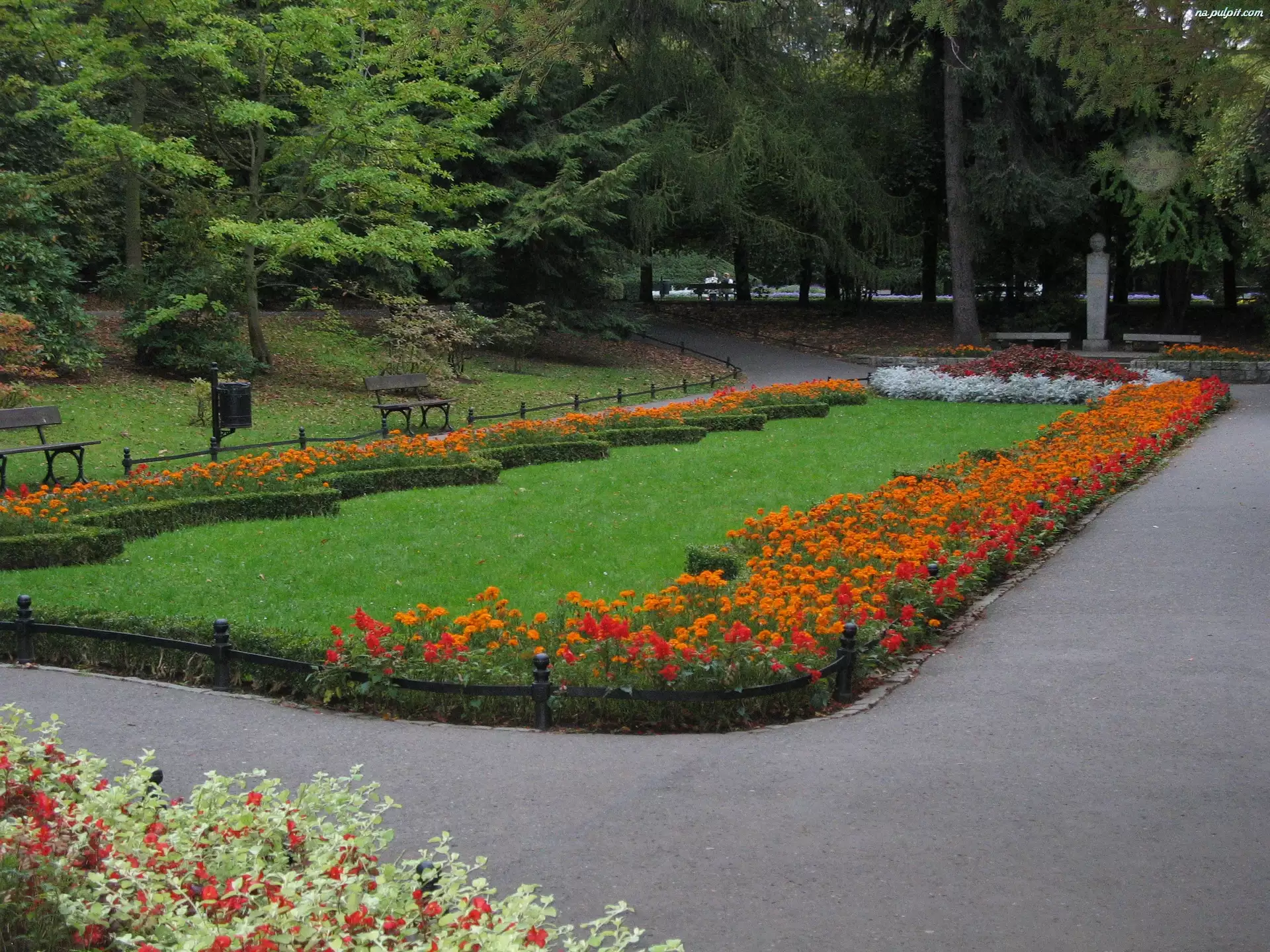 Park, Kwiaty