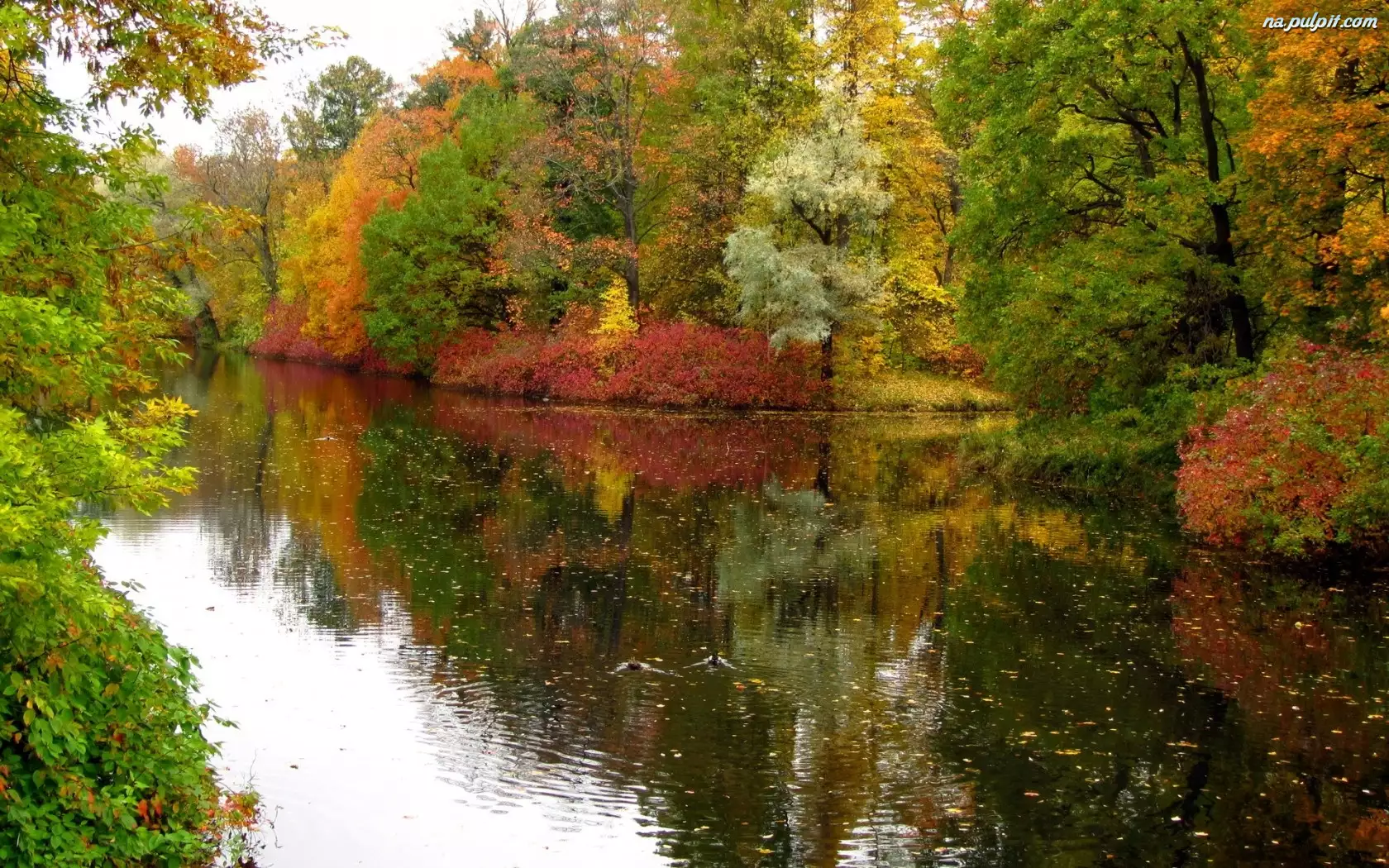 Kolorowe, Rzeka, Drzewa, Jesieni