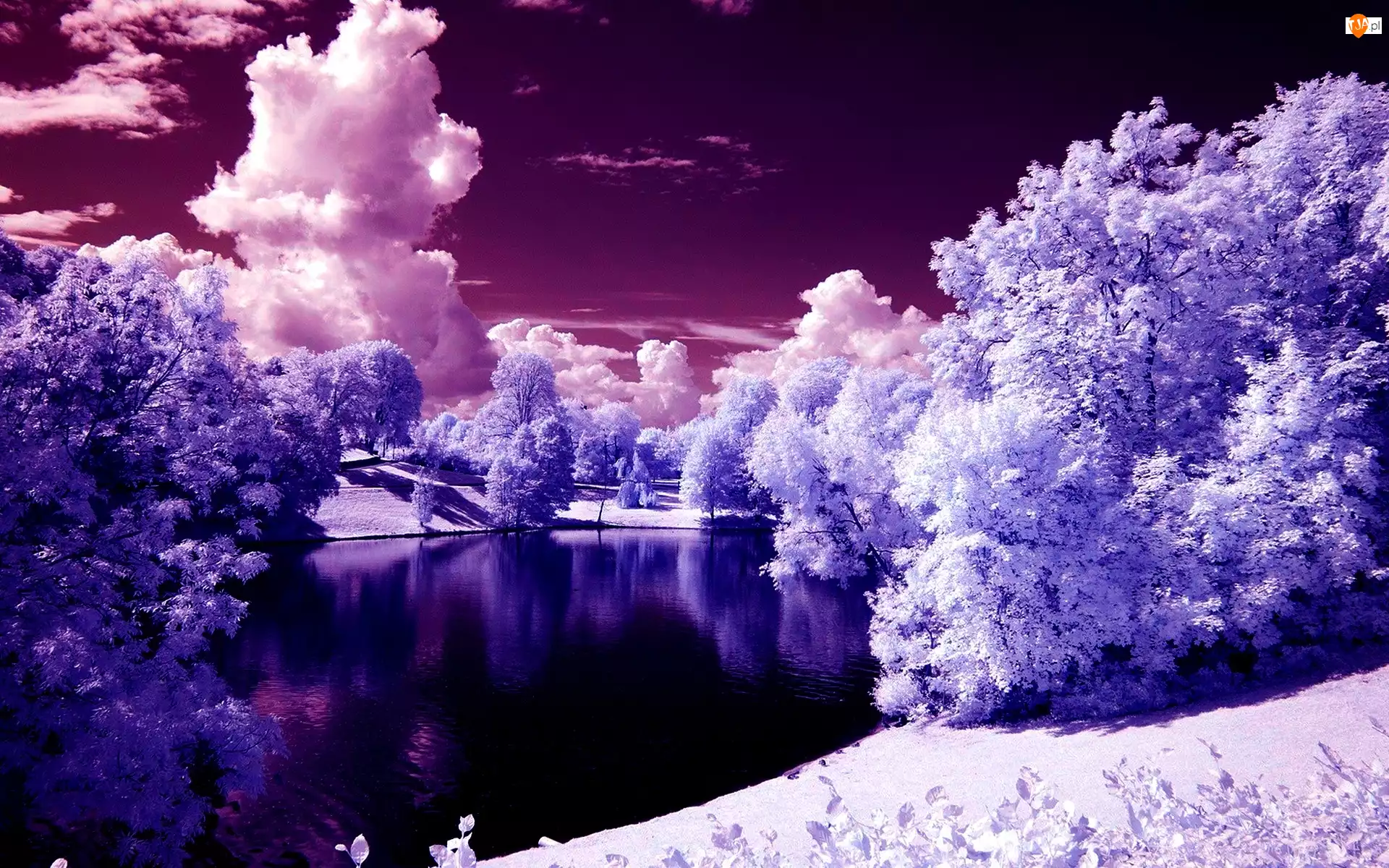 Jezioro, Zima, Drzewa, Chmury, Śnieg