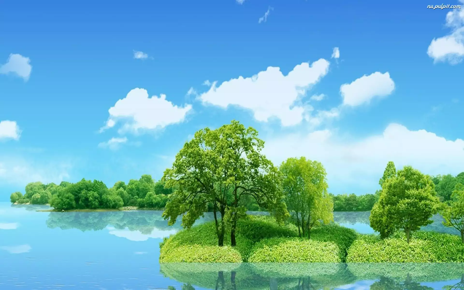 Chmurki, Jezioro, Drzewa