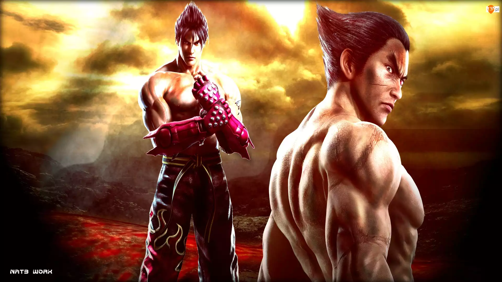 Kazuya Mishima, Tekken Tag Tournament 2, Jin Kazama