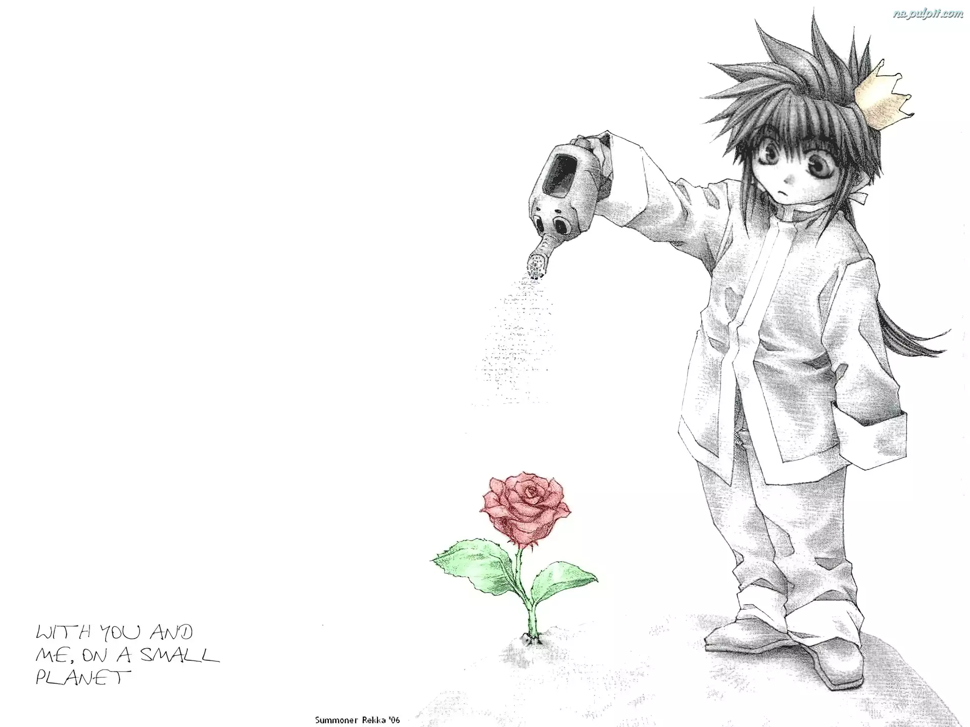 kwiat, Saiyuki, osoba, konewka