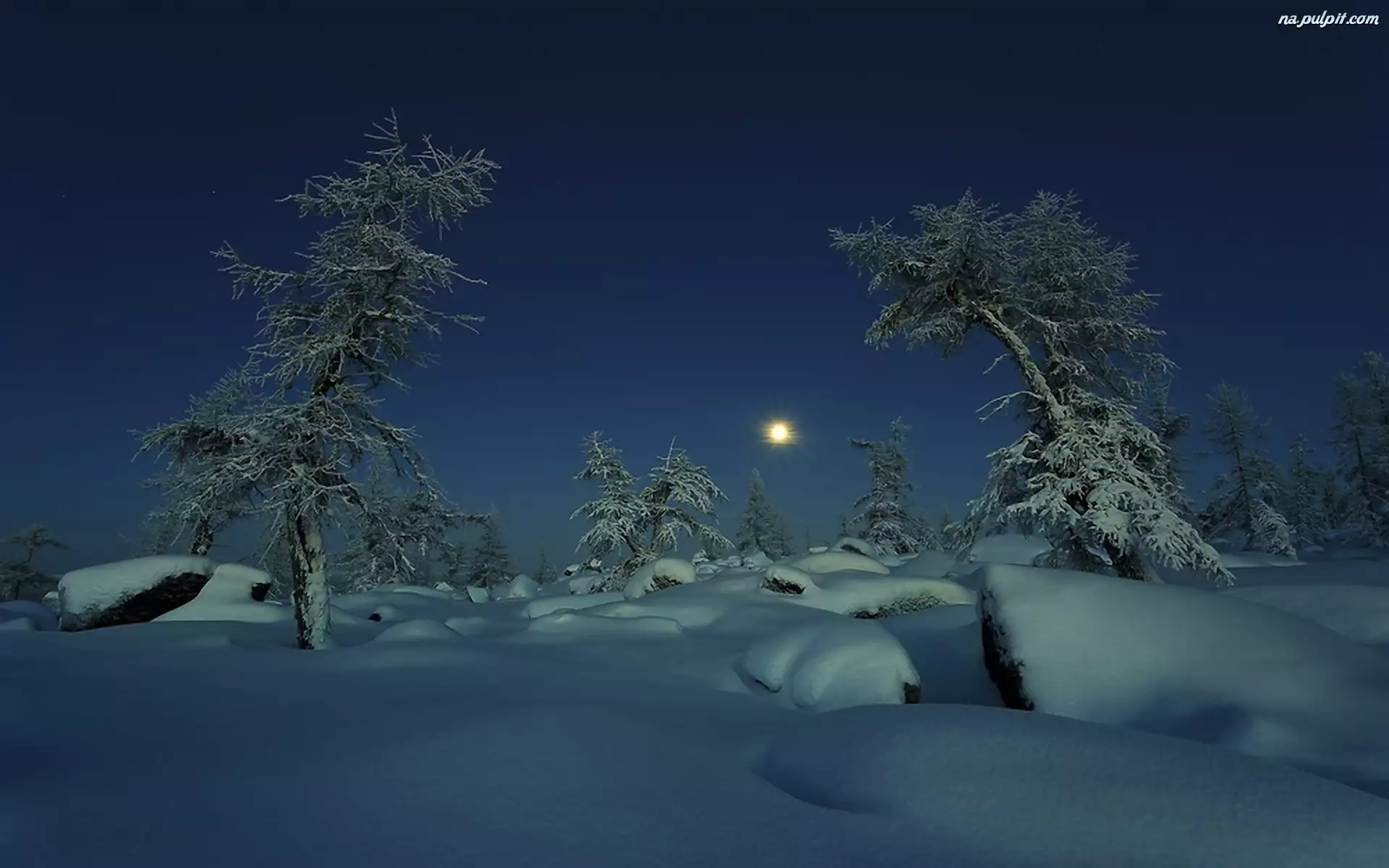 Śnieg, Księżyc, Drzewa
