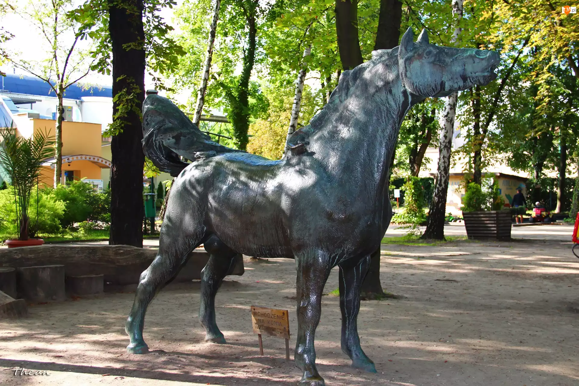 Rzeźba, Poznań, Koń, Stare Zoo