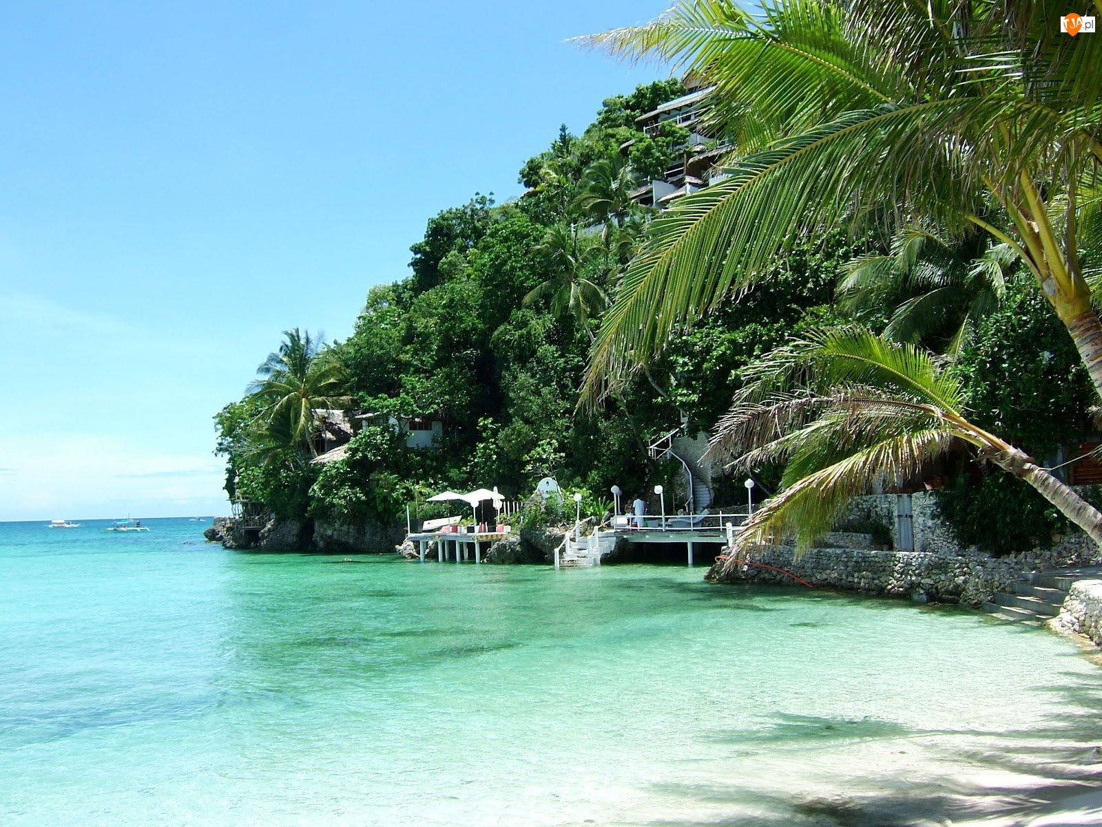 Drzewa, Tropikalne, Filipiny, Morze, Skale, Na, Hotel