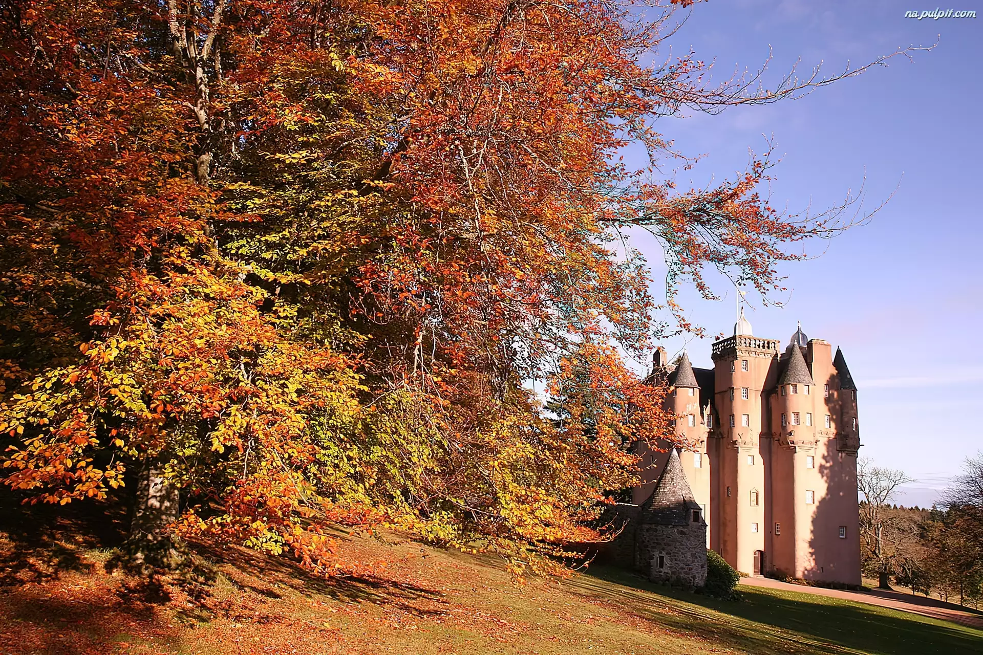 Zamek, Szkocja, Drzewo, Jesień, Craigievar