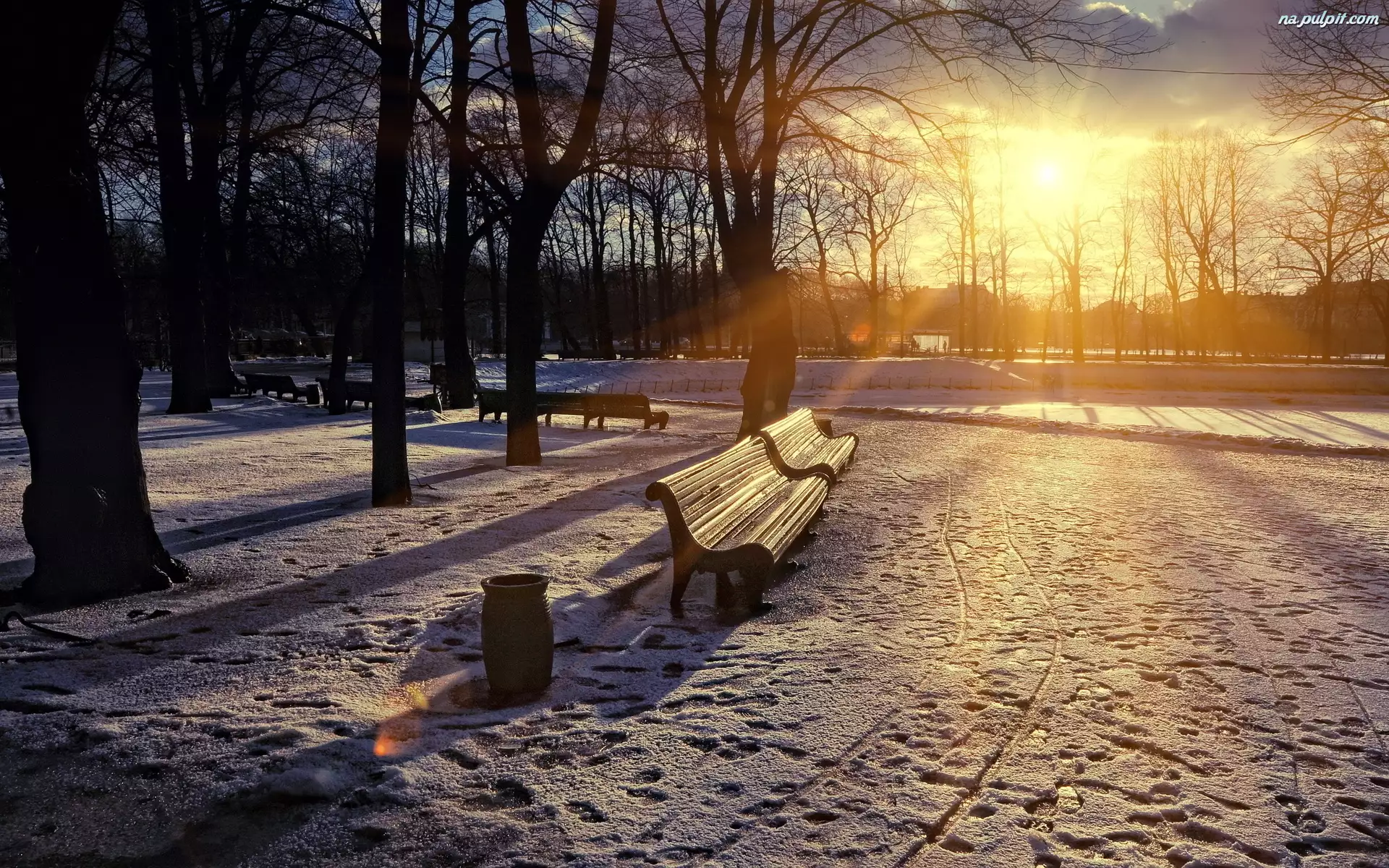 Przebijające, Ławki, Park, Drzewa, Zima, Słońce