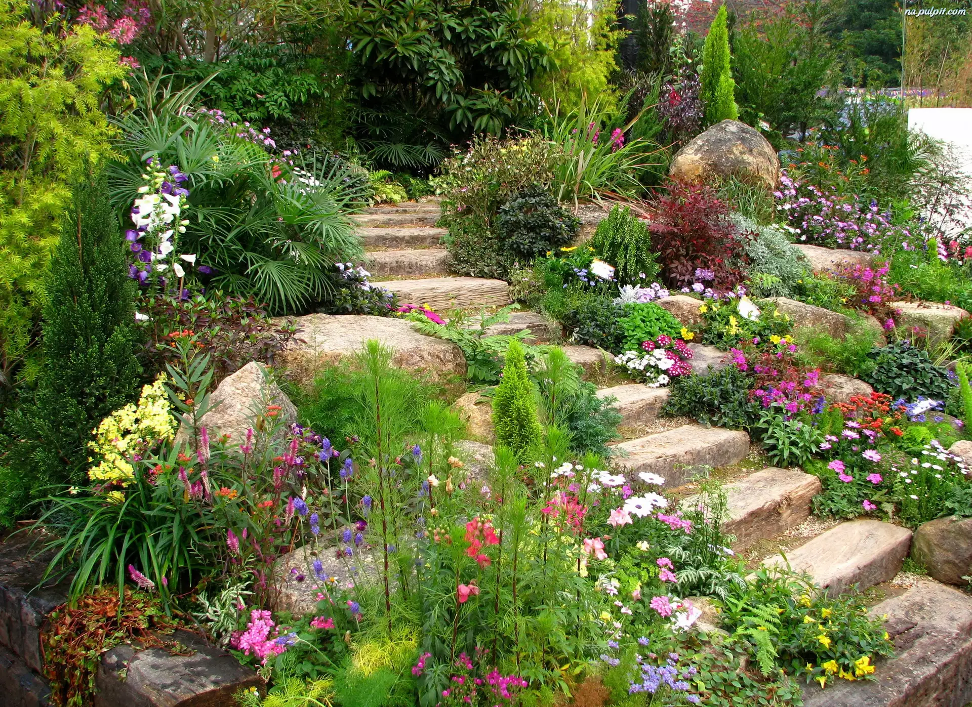Ogród, Kamienie, Kwiaty, Schody