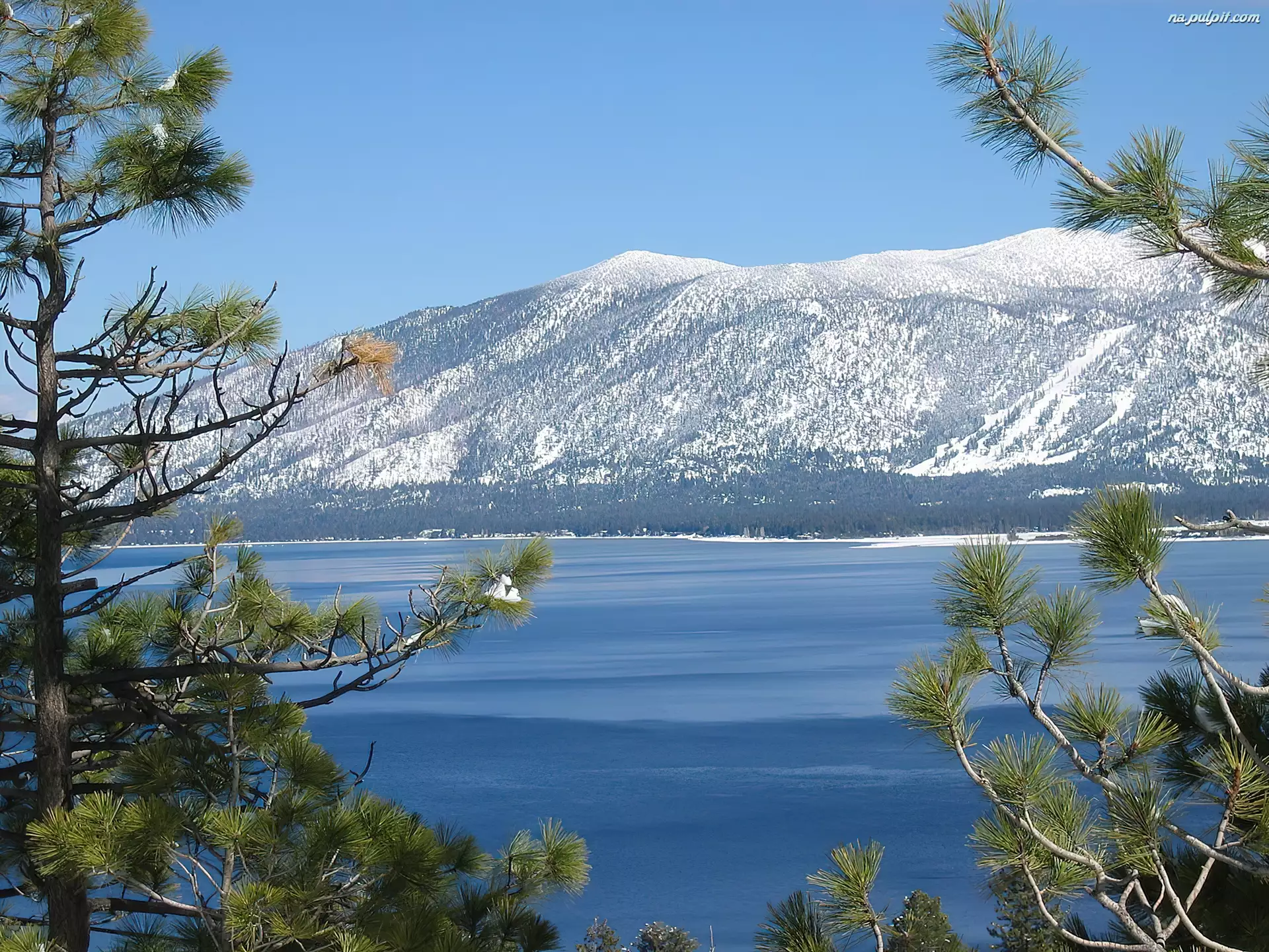 Góry, Kalifornia, Drzewo, Jezioro, Tahoe