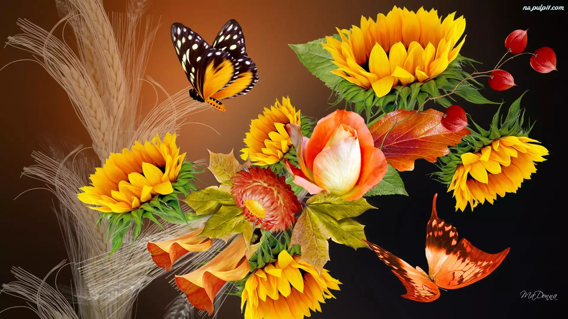 Kwiaty, Motyle, Kłosy, Zbóż