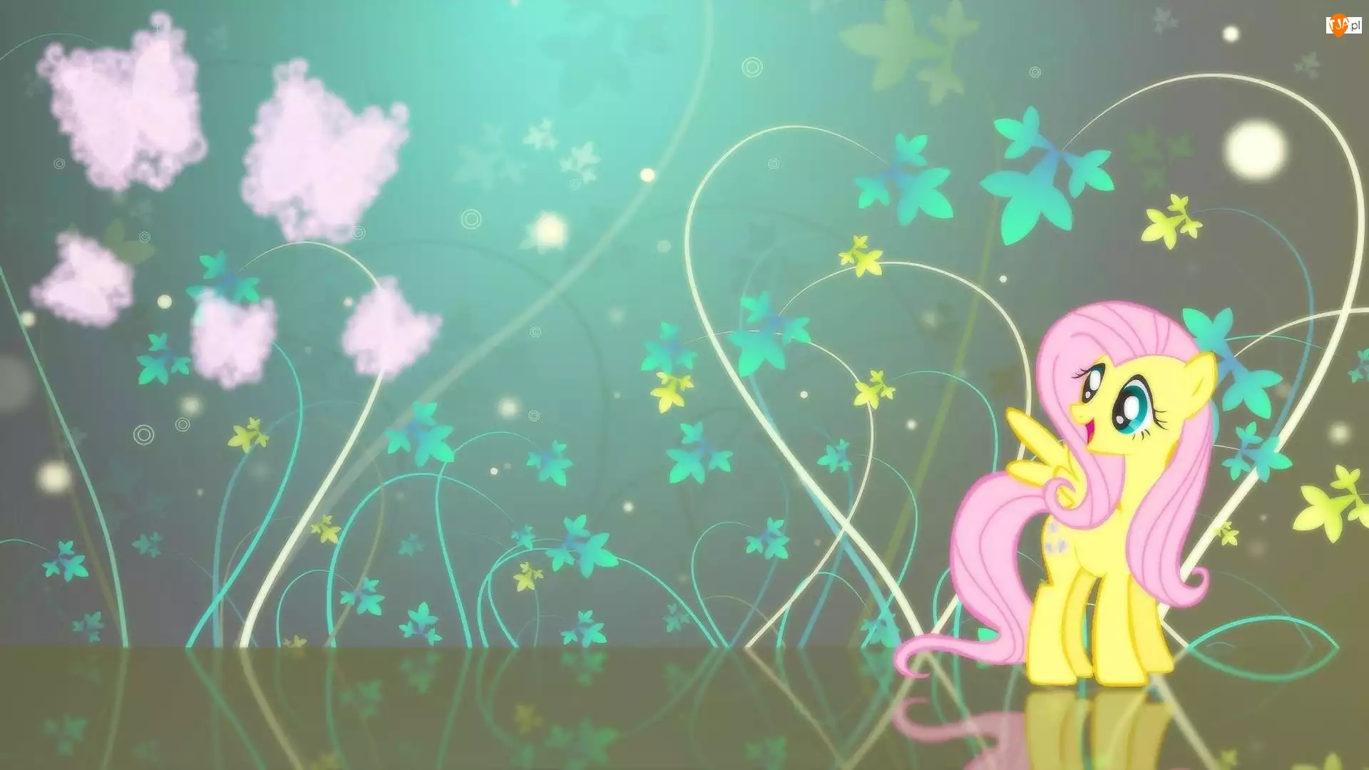 Fluttershy, My Little Pony