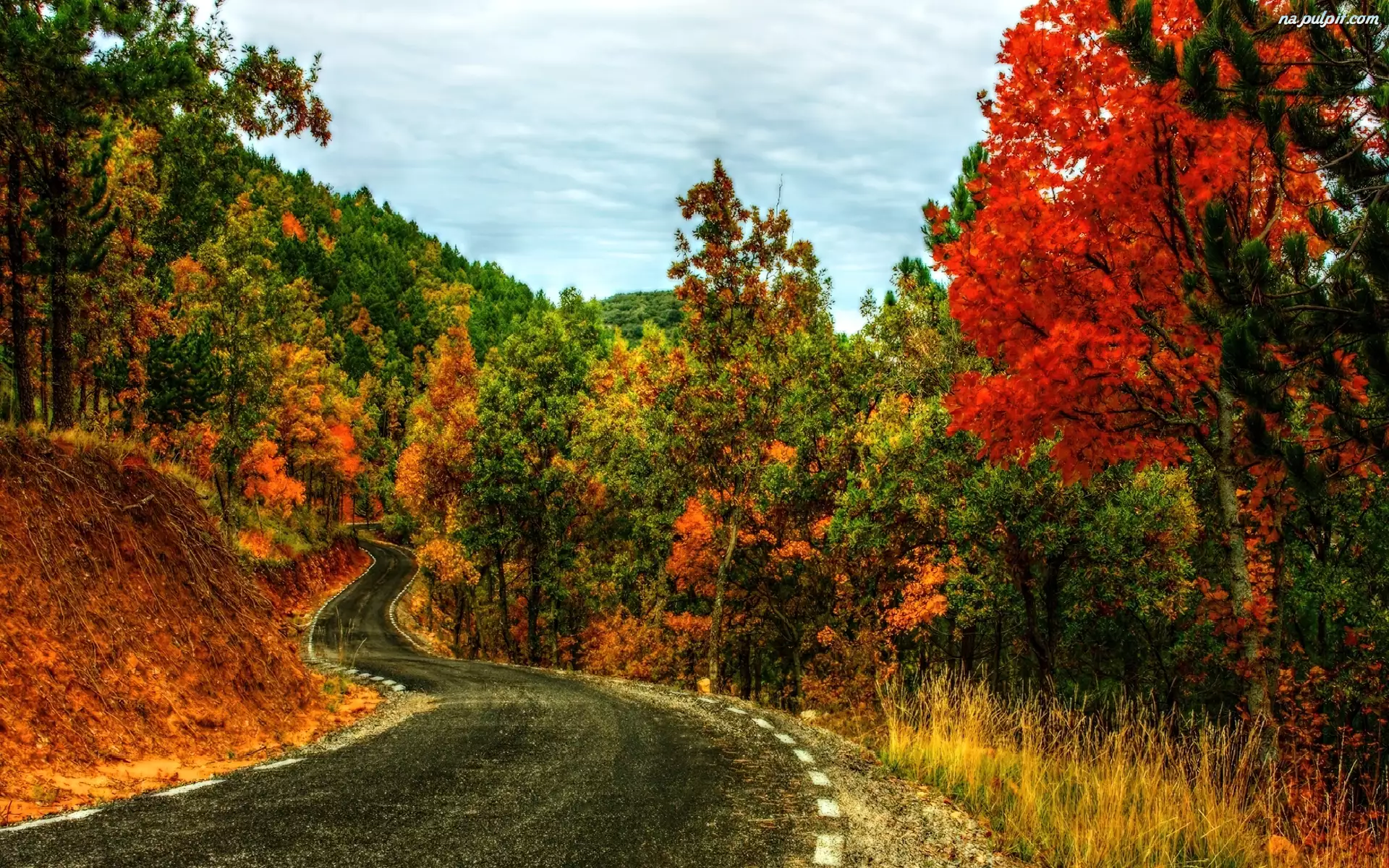 Droga, Jesień, Zakręt, Drzewa