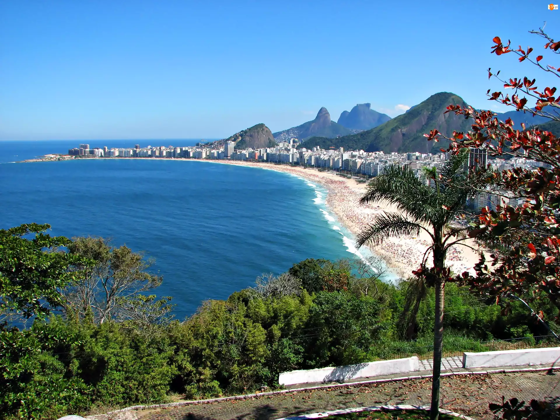 Rio De Janeiro, Plaża, Morze, Drzewa