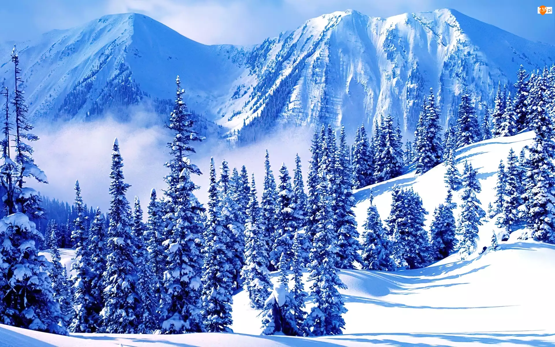 Zima, Drzewa, Góry, Ośnieżone